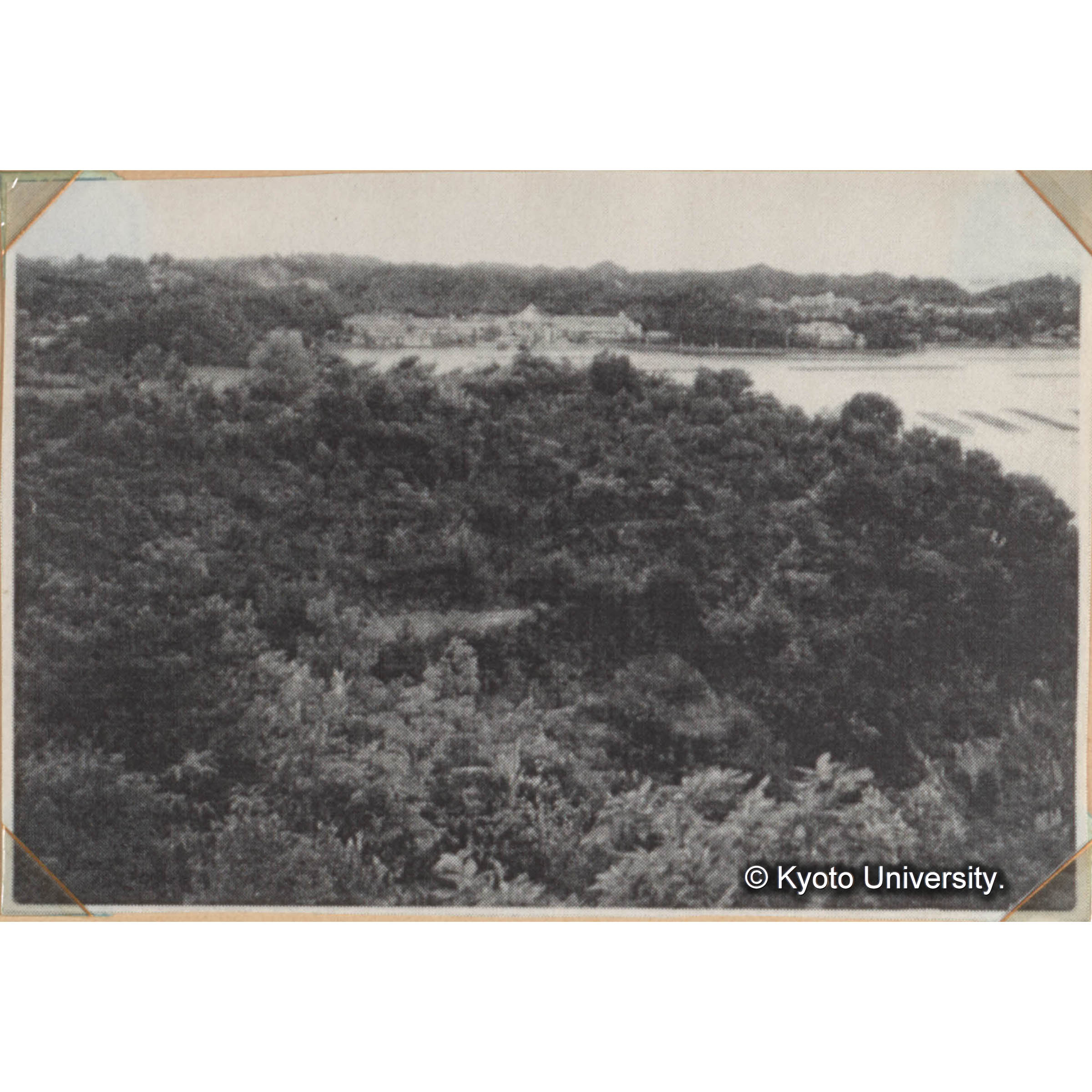 京都大學白浜試驗地　白浜試験地　白浜試験地事務所付近の林況　海岸に接しておることが本試験地の特色の一つである。（前方の建物は温泉旅館である。）　＜白浜試験地ネガ整理番号 047-1＞ (1)