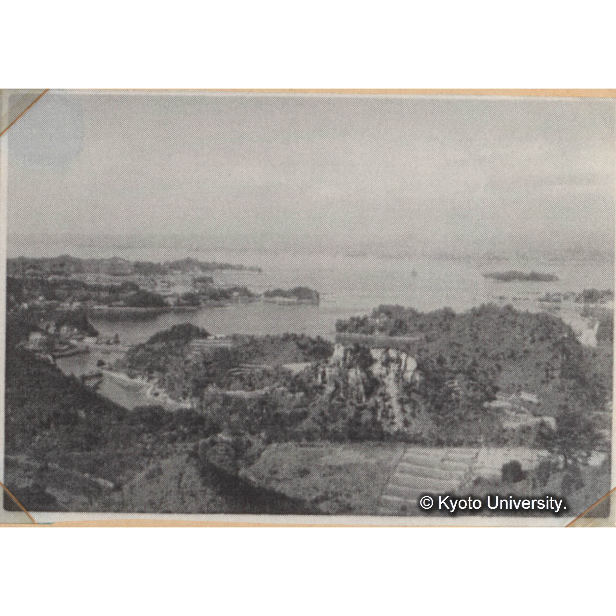 京都大學白浜試驗地　白浜試験地　白浜試験地事務所付近の林況　海岸に接しておることが本試験地の特色の一つである。（前方の建物は温泉旅館である。）　＜P＞ (1)