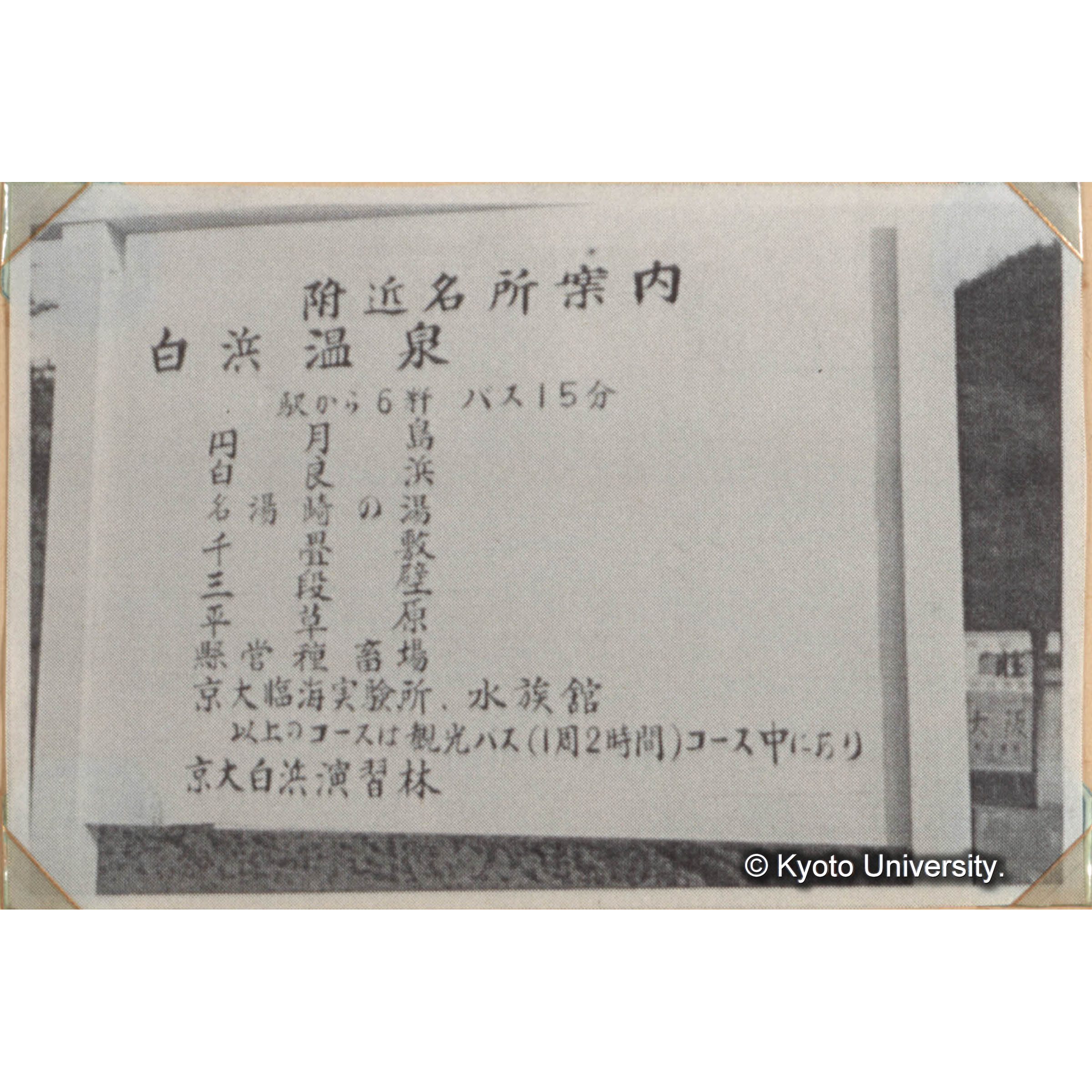 京都大學白浜試驗地　白浜試験地　白浜試験地事務所付近の林況　海岸に接しておることが本試験地の特色の一つである。（前方の建物は温泉旅館である。）　＜白浜試験地ネガ整理番号 044-2＞ (1)