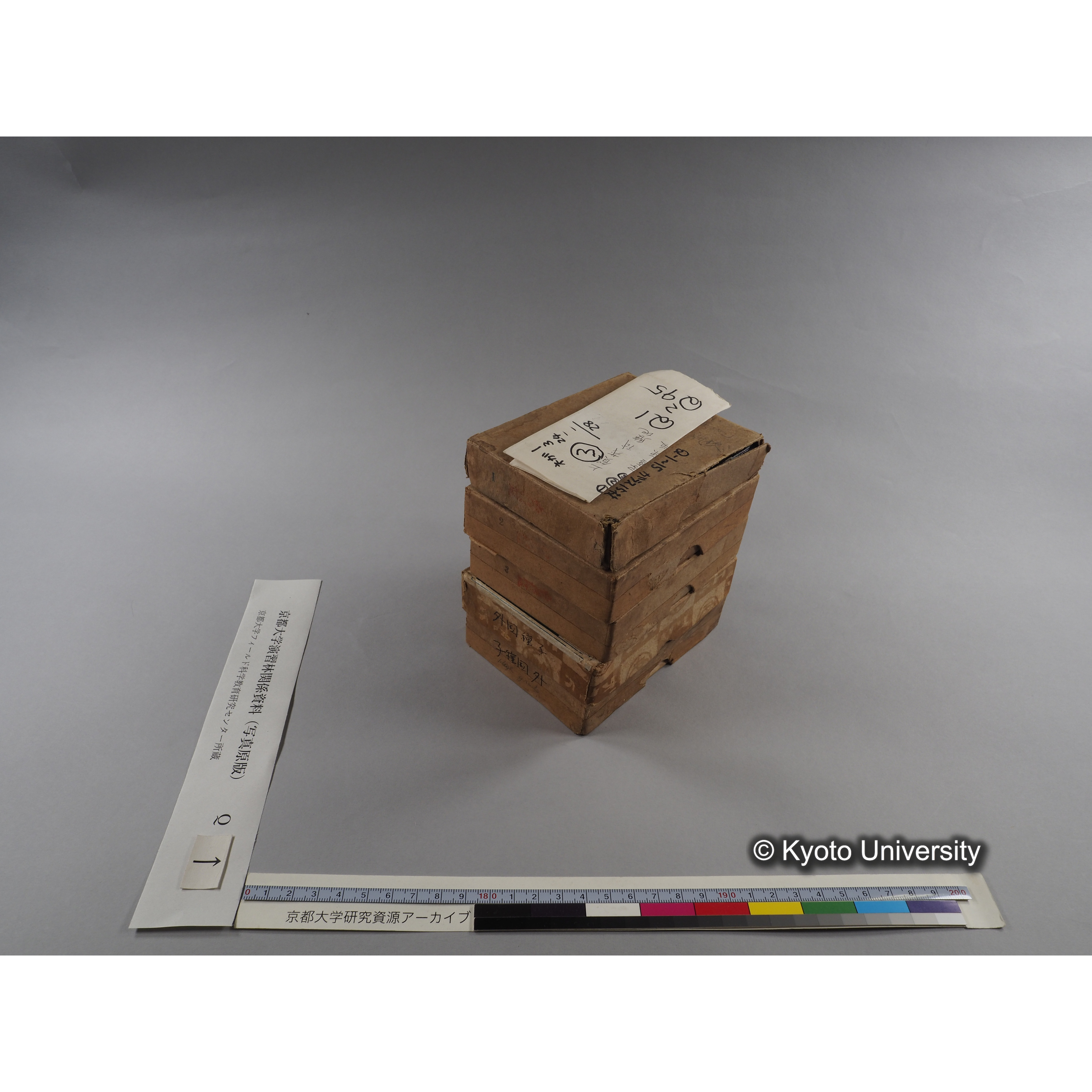 ガラス乾板Q (2)