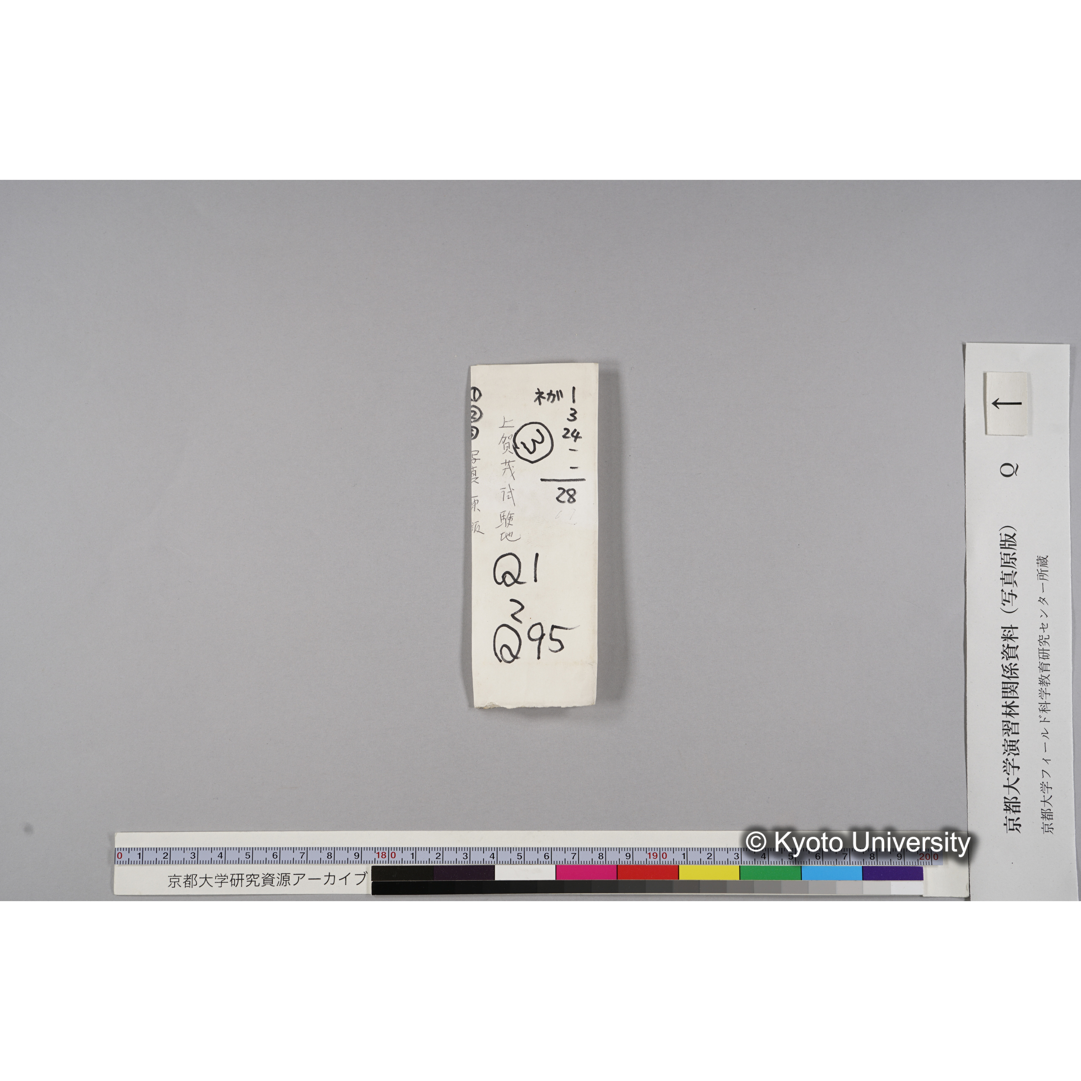 ガラス乾板Q (3)