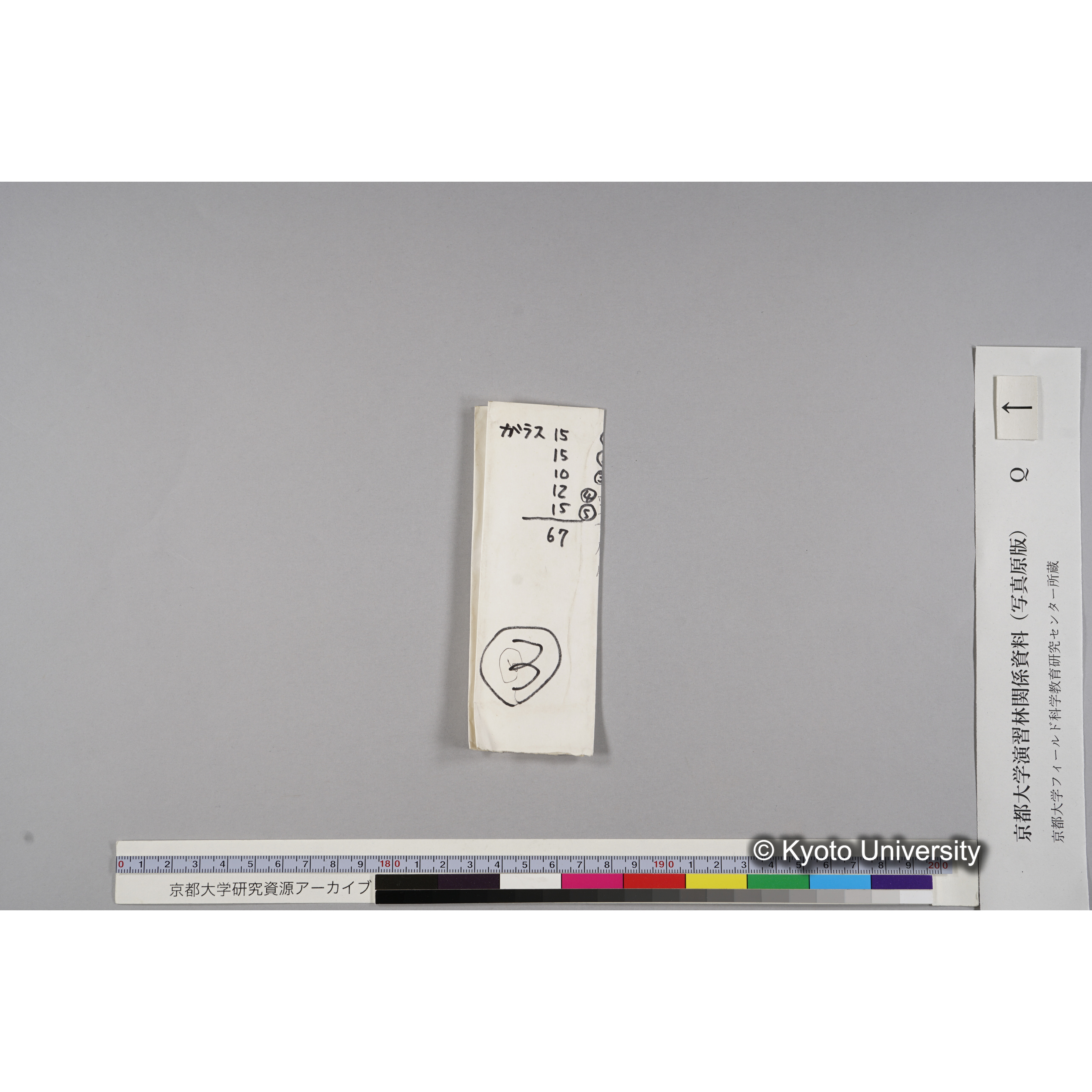 ガラス乾板Q (4)