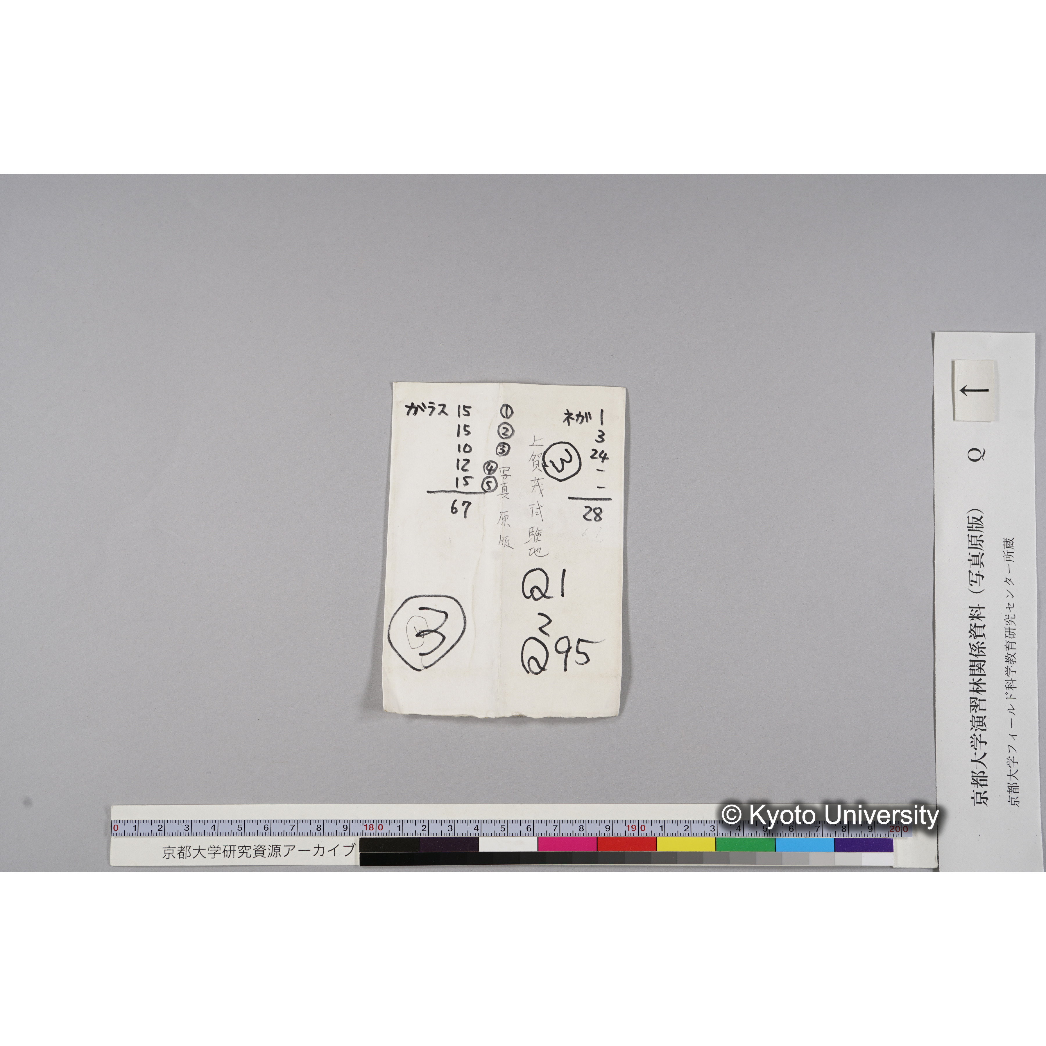 ガラス乾板Q (5)