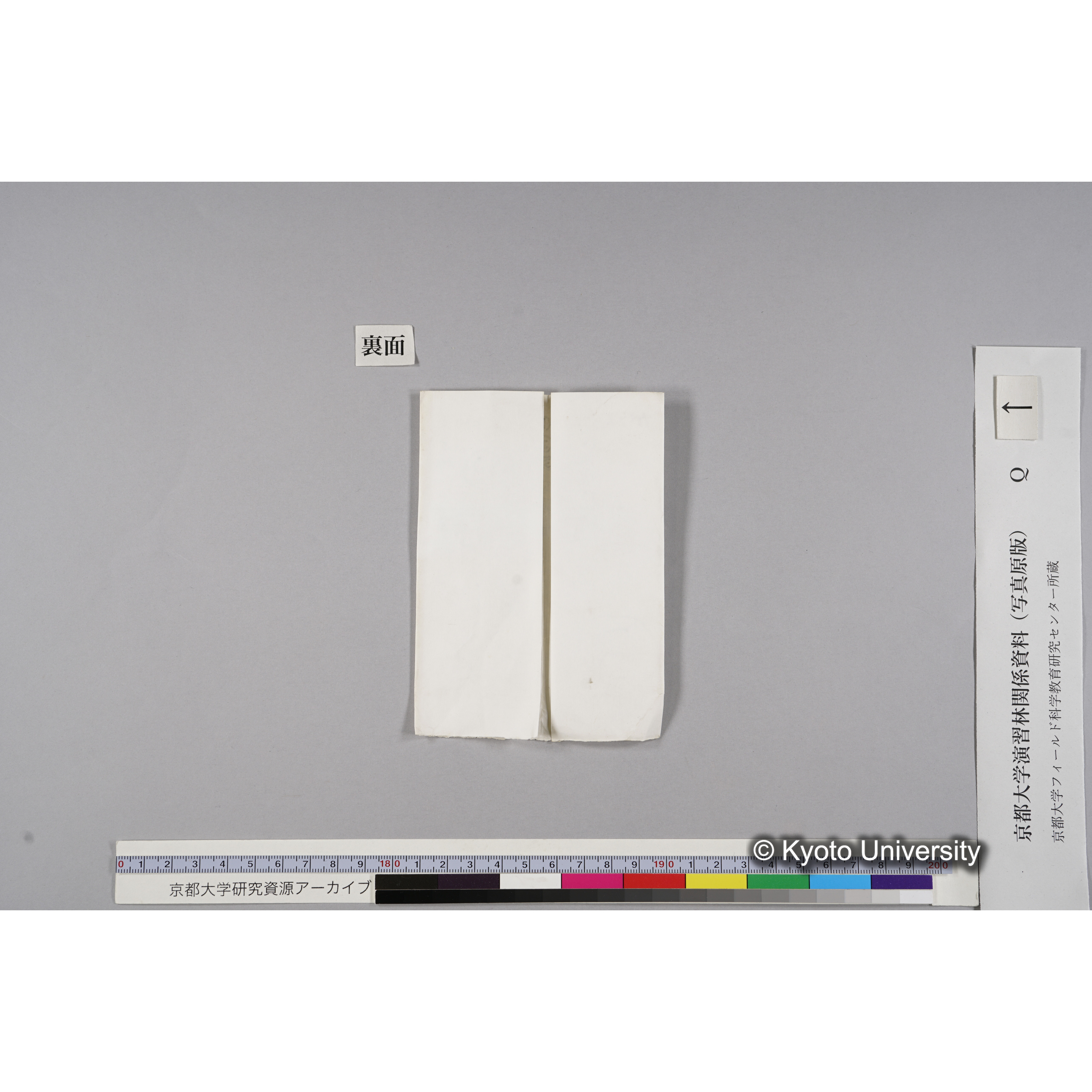 ガラス乾板Q (6)