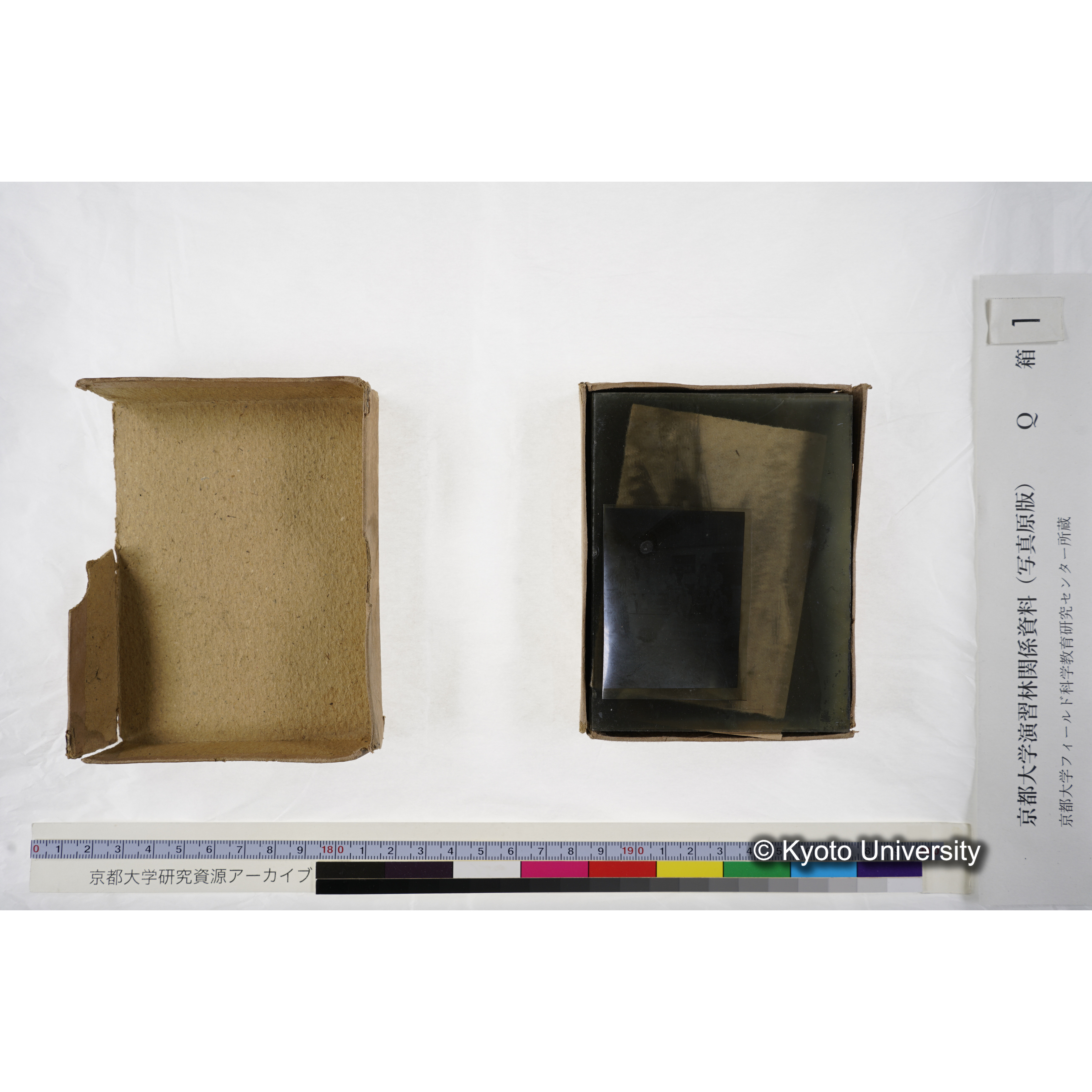 [ガラス乾板Q-箱1] 上賀茂試験地 1. (上加茂試験地建設当時乾板.) (4)