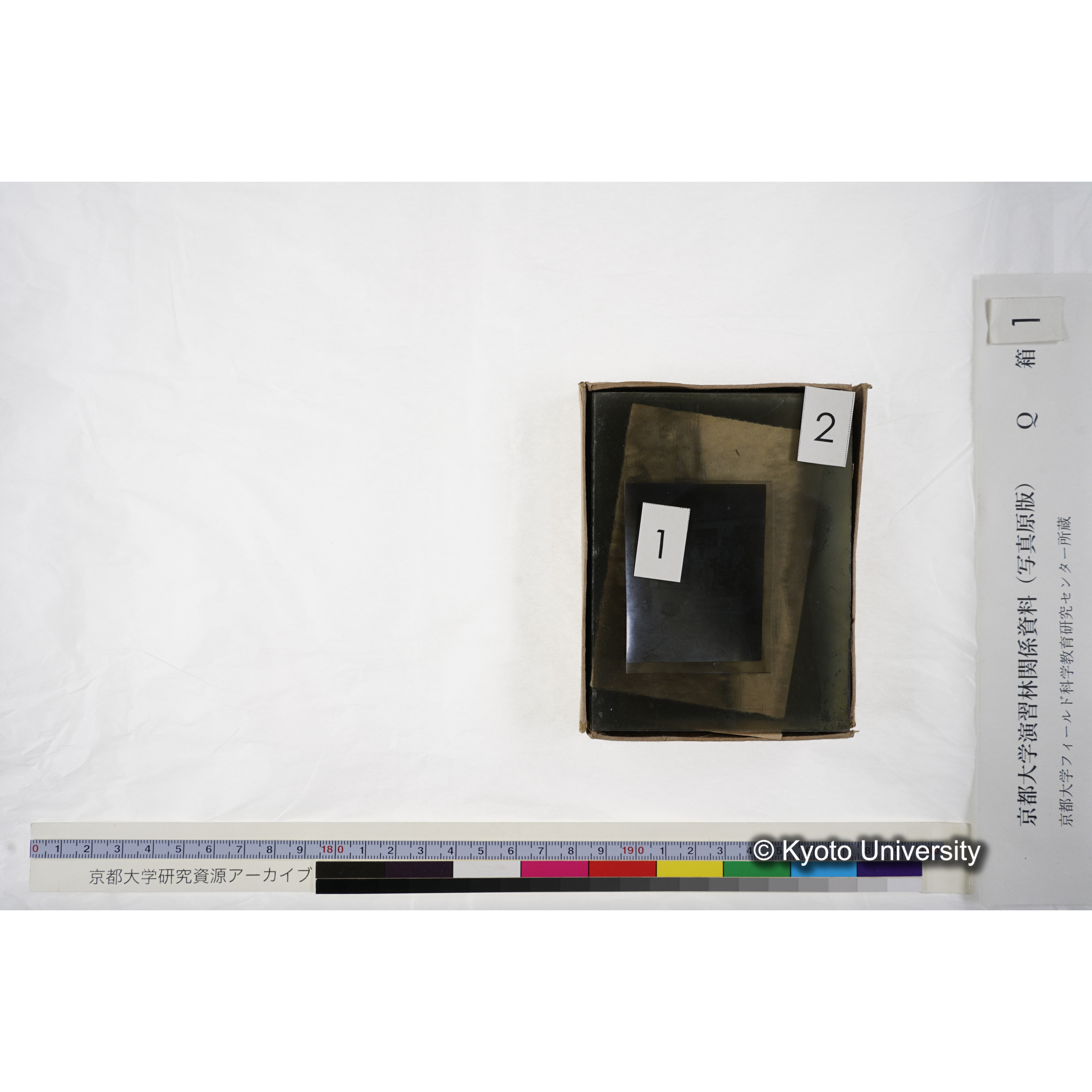 [ガラス乾板Q-箱1] 上賀茂試験地 1. (上加茂試験地建設当時乾板.) (5)