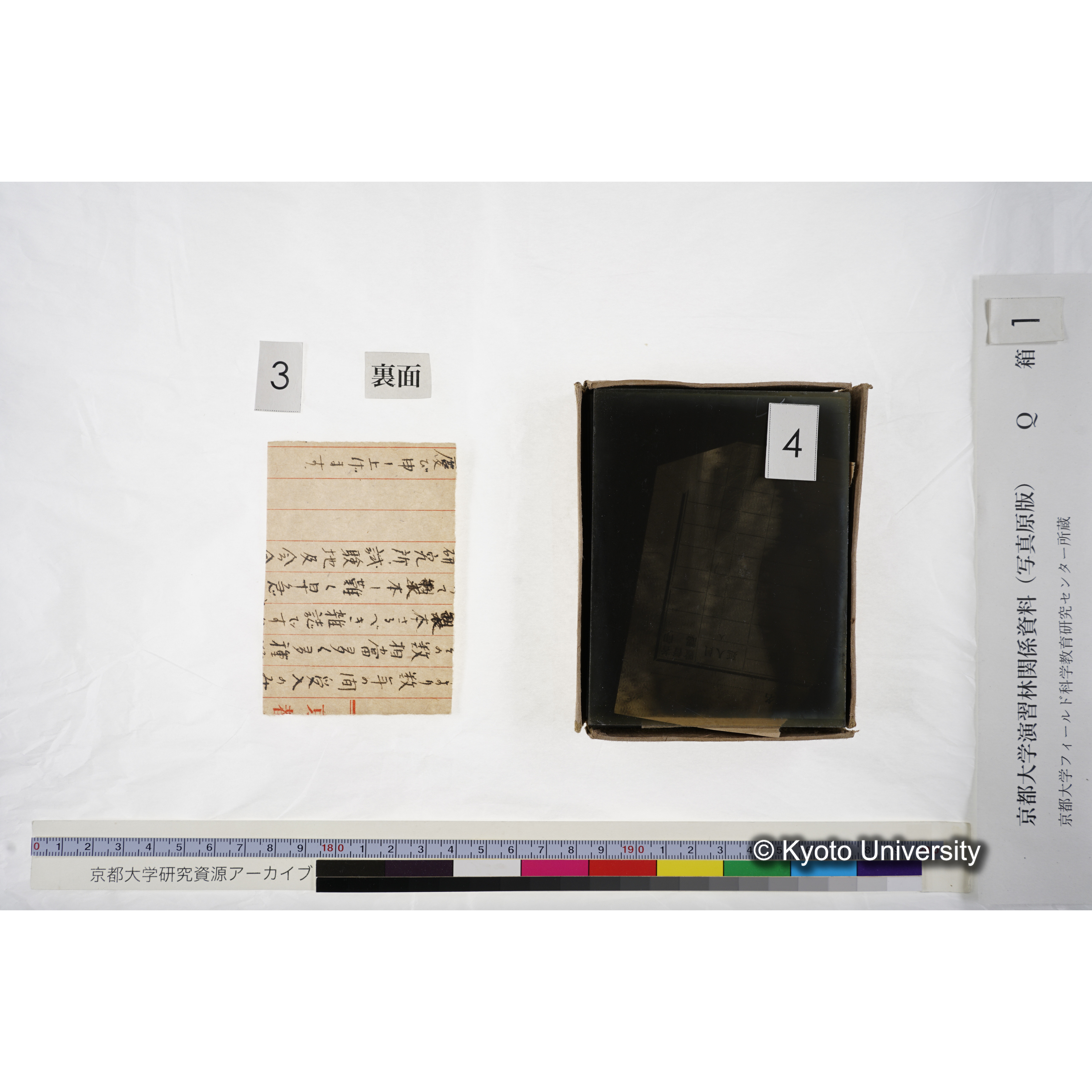 [ガラス乾板Q-箱1] 上賀茂試験地 1. (上加茂試験地建設当時乾板.) (7)