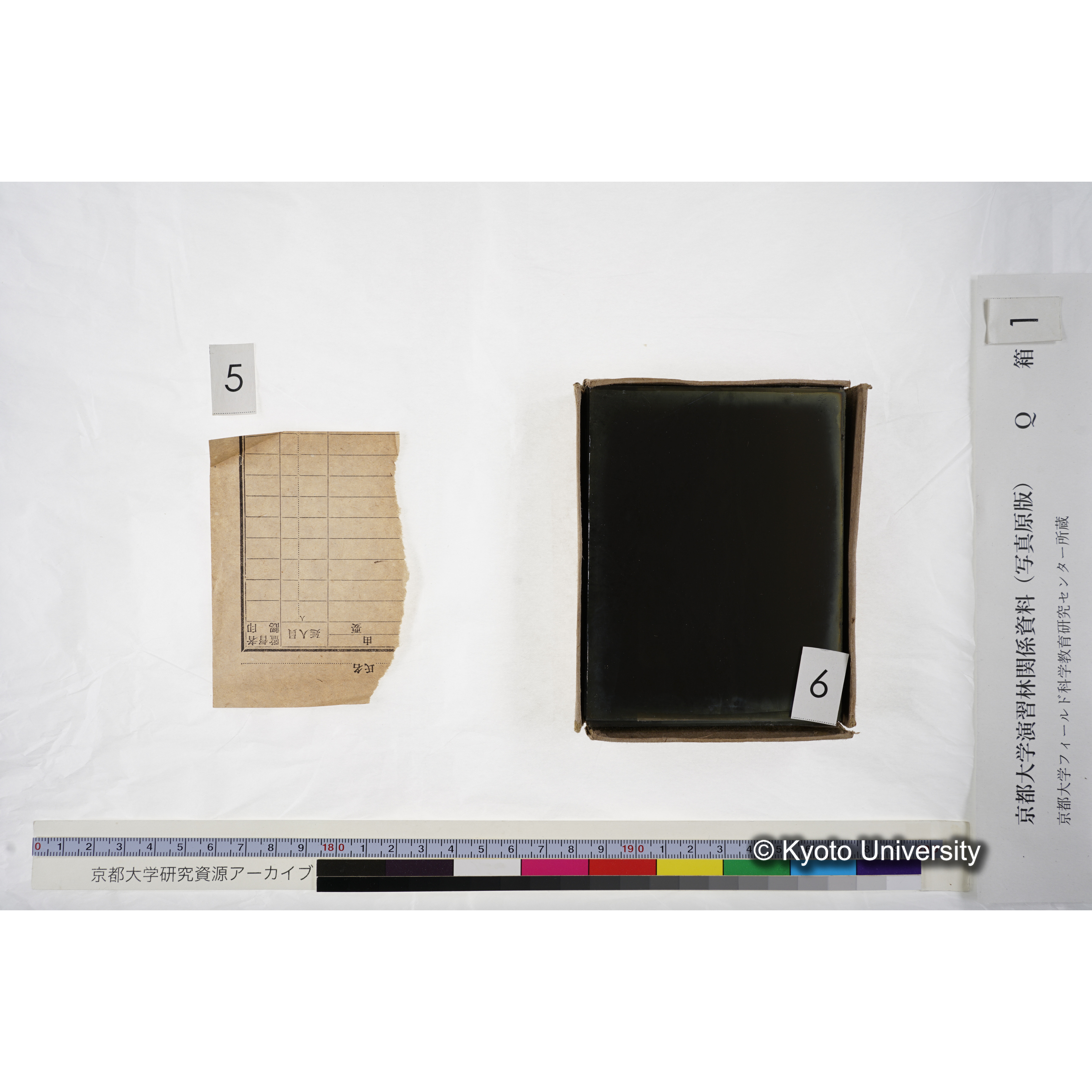 [ガラス乾板Q-箱1] 上賀茂試験地 1. (上加茂試験地建設当時乾板.) (8)