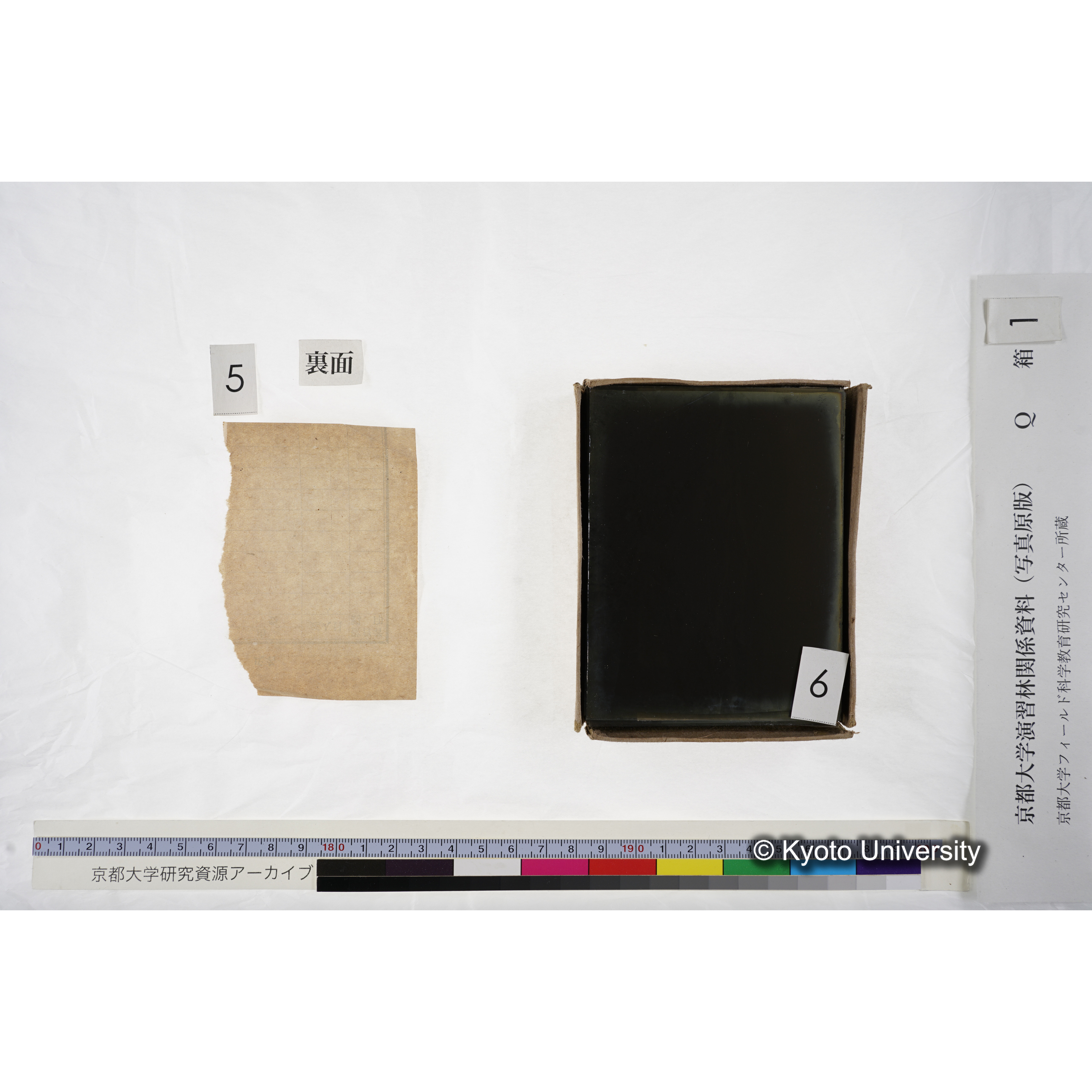 [ガラス乾板Q-箱1] 上賀茂試験地 1. (上加茂試験地建設当時乾板.) (9)