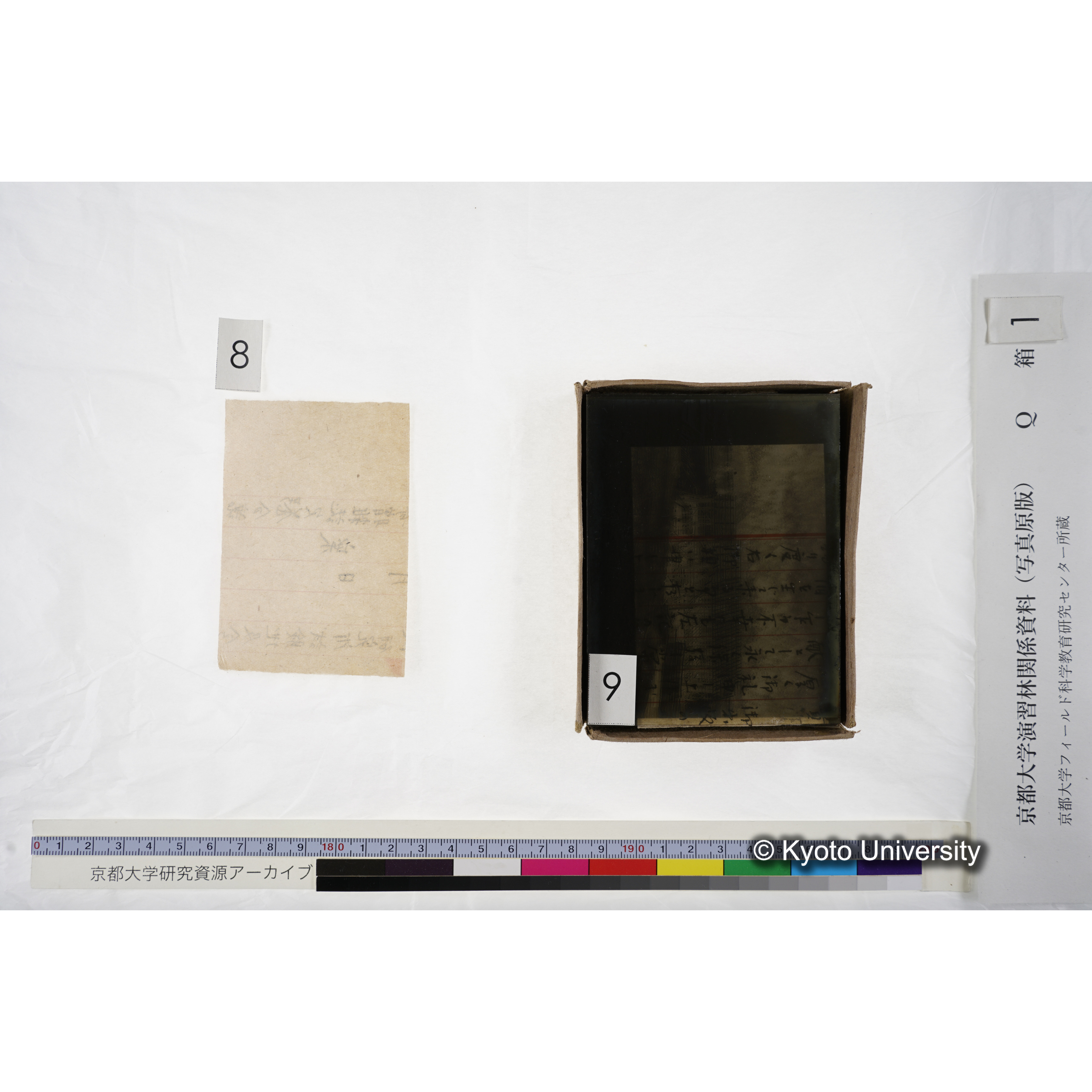 [ガラス乾板Q-箱1] 上賀茂試験地 1. (上加茂試験地建設当時乾板.) (10)