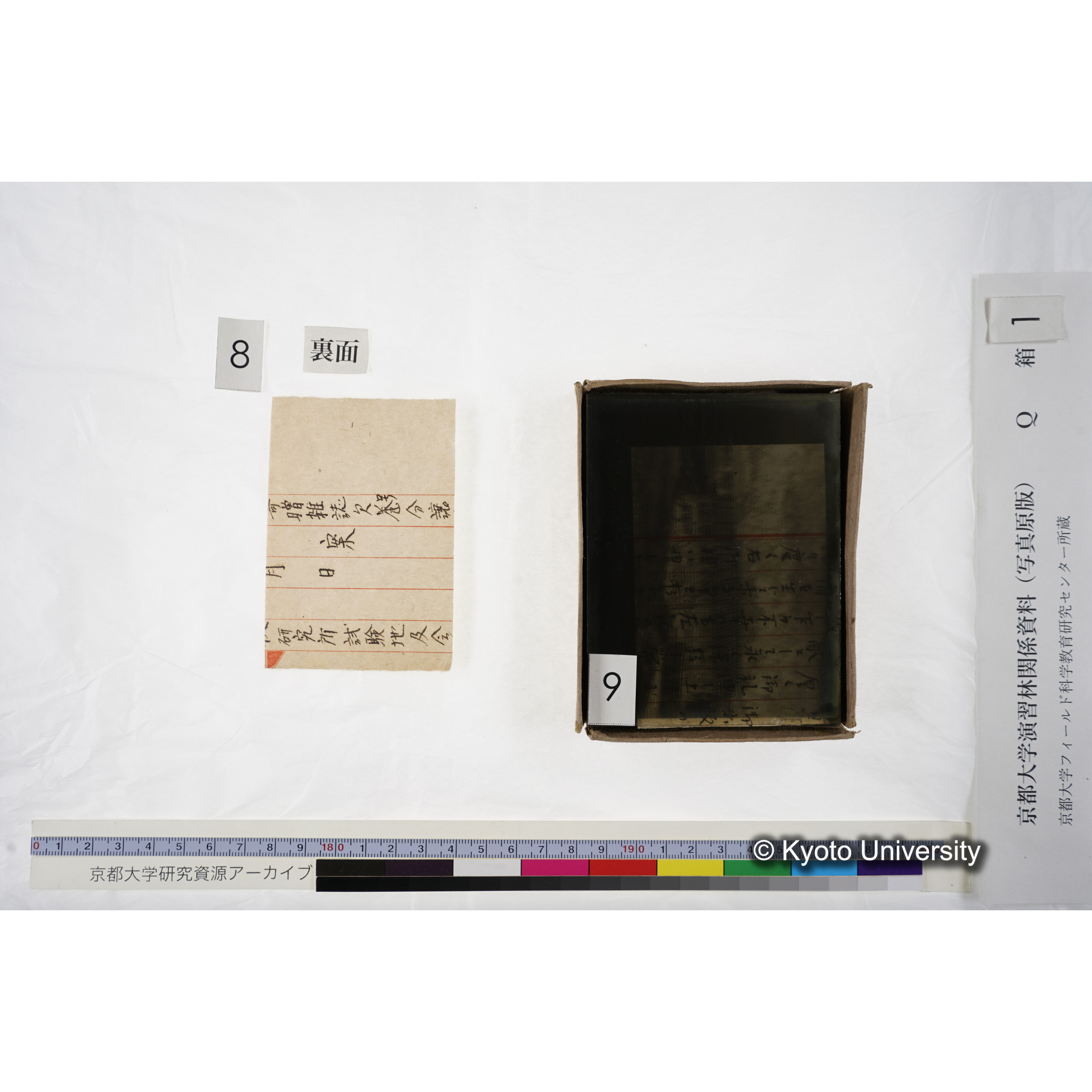 [ガラス乾板Q-箱1] 上賀茂試験地 1. (上加茂試験地建設当時乾板.) (11)