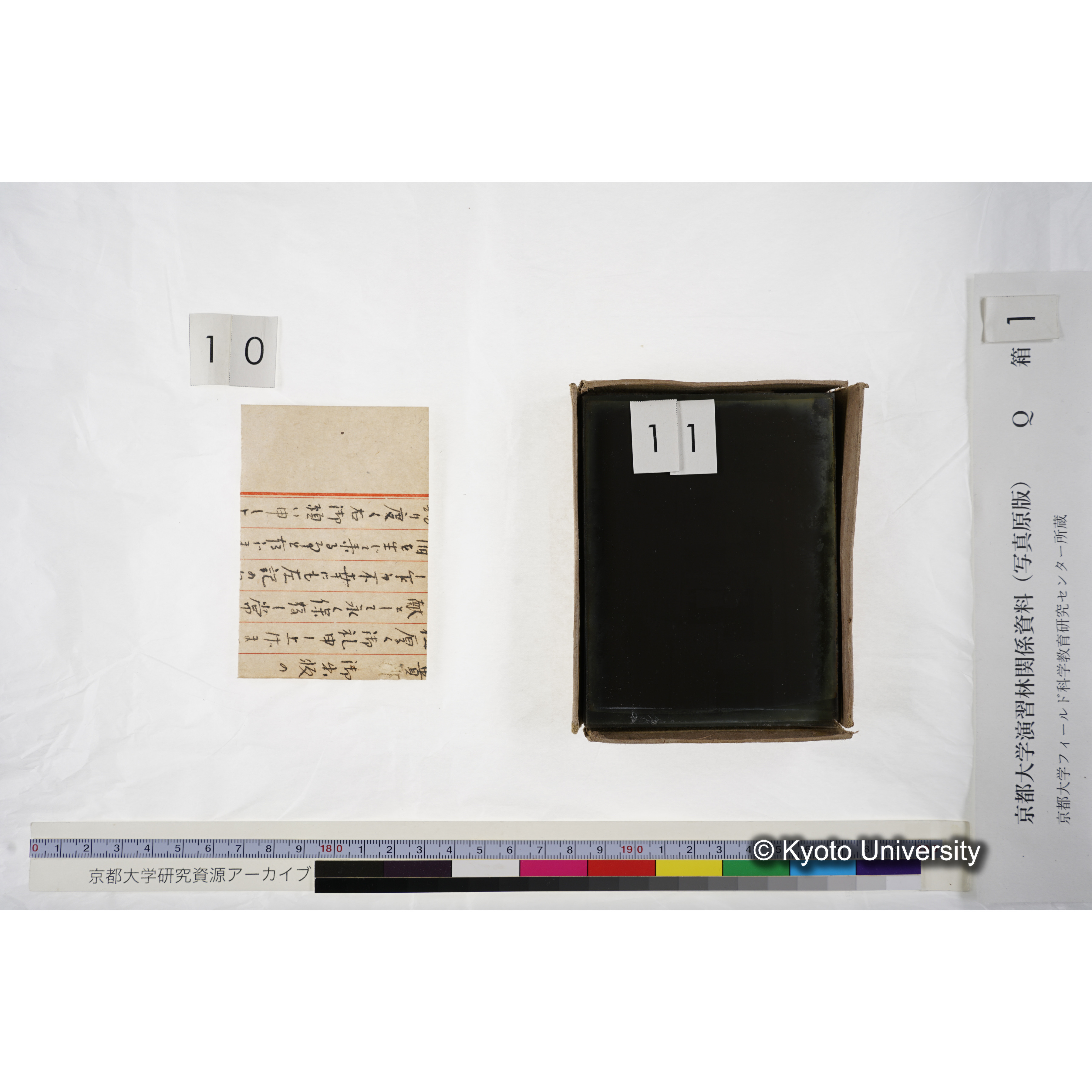 [ガラス乾板Q-箱1] 上賀茂試験地 1. (上加茂試験地建設当時乾板.) (12)