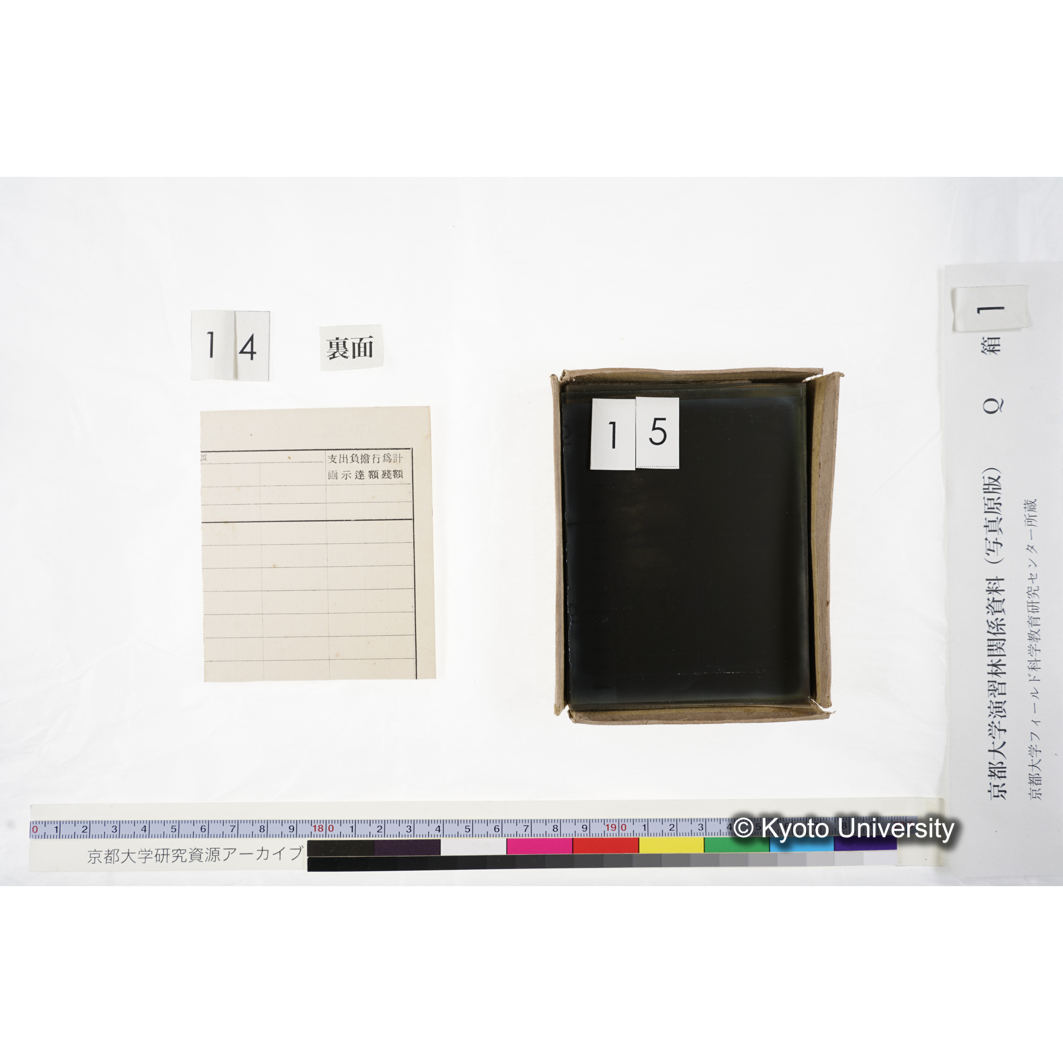 [ガラス乾板Q-箱1] 上賀茂試験地 1. (上加茂試験地建設当時乾板.) (15)