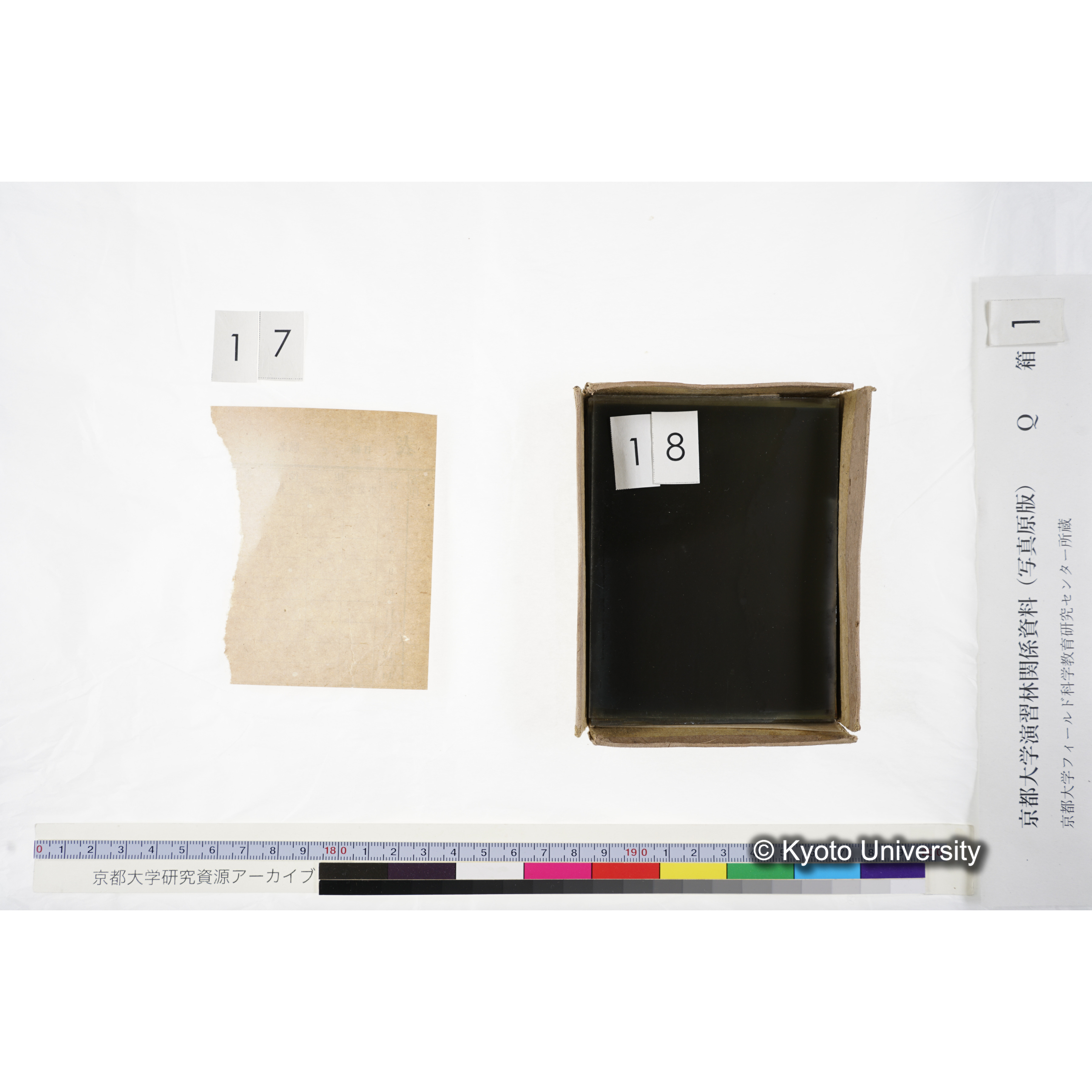 [ガラス乾板Q-箱1] 上賀茂試験地 1. (上加茂試験地建設当時乾板.) (16)