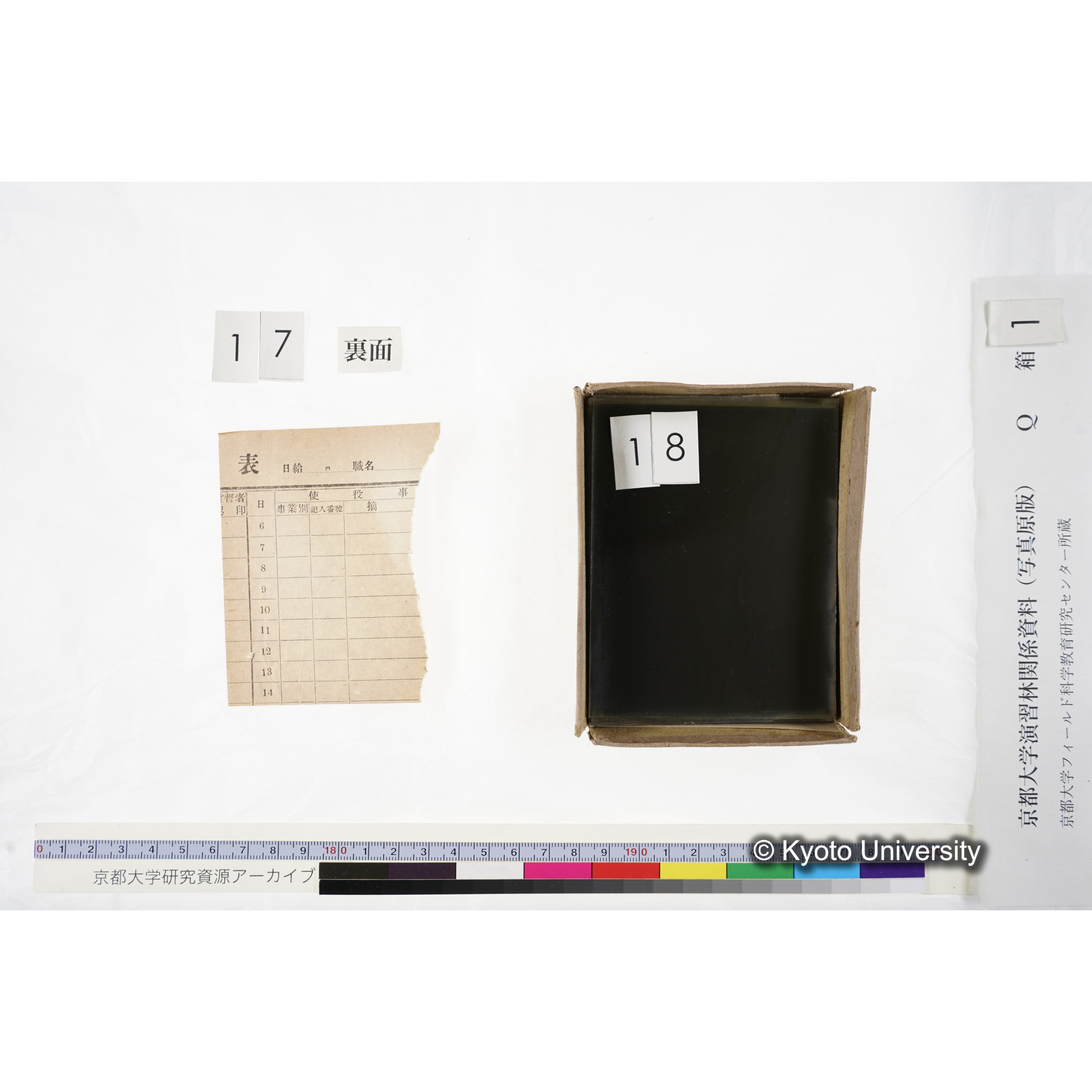 [ガラス乾板Q-箱1] 上賀茂試験地 1. (上加茂試験地建設当時乾板.) (17)