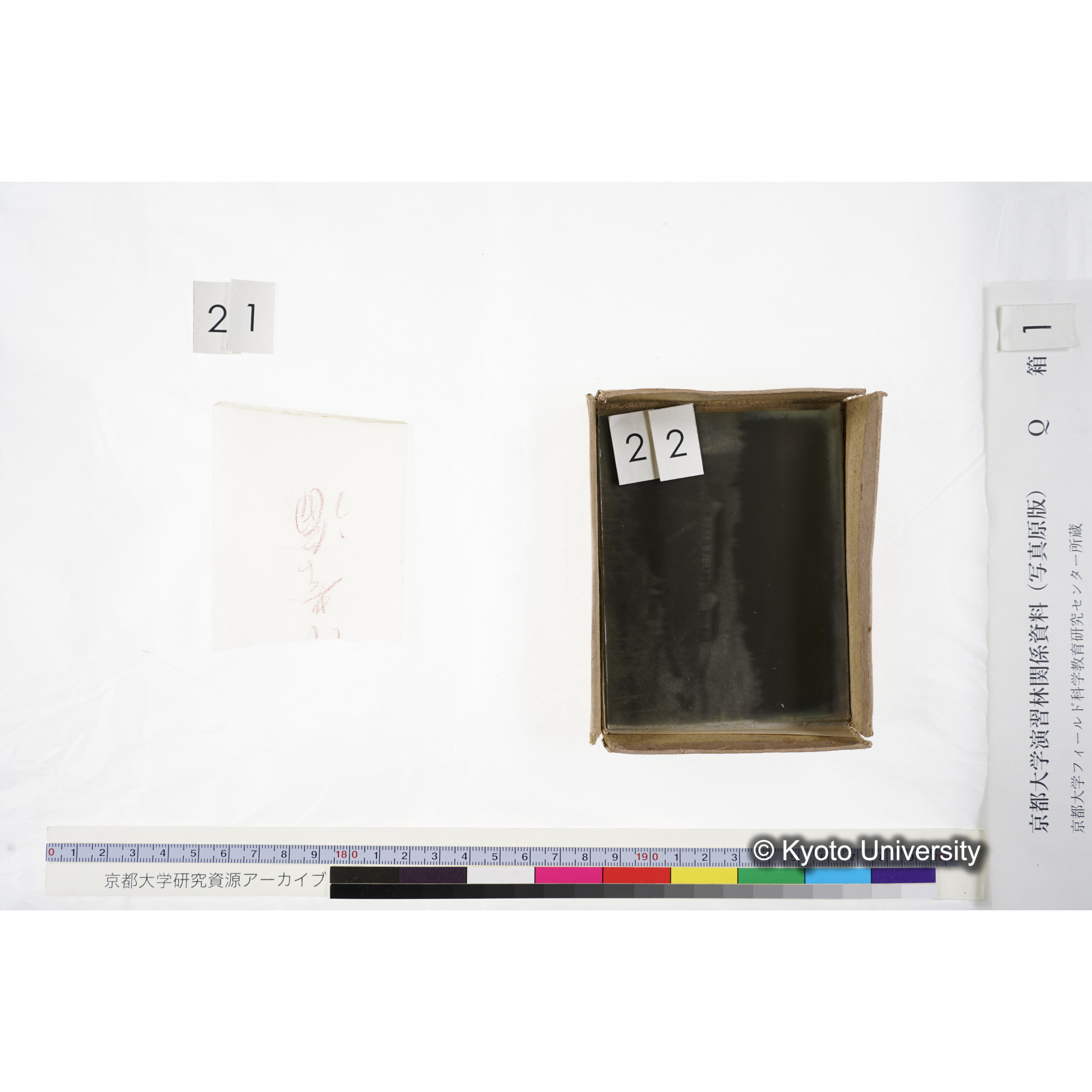 [ガラス乾板Q-箱1] 上賀茂試験地 1. (上加茂試験地建設当時乾板.) (18)