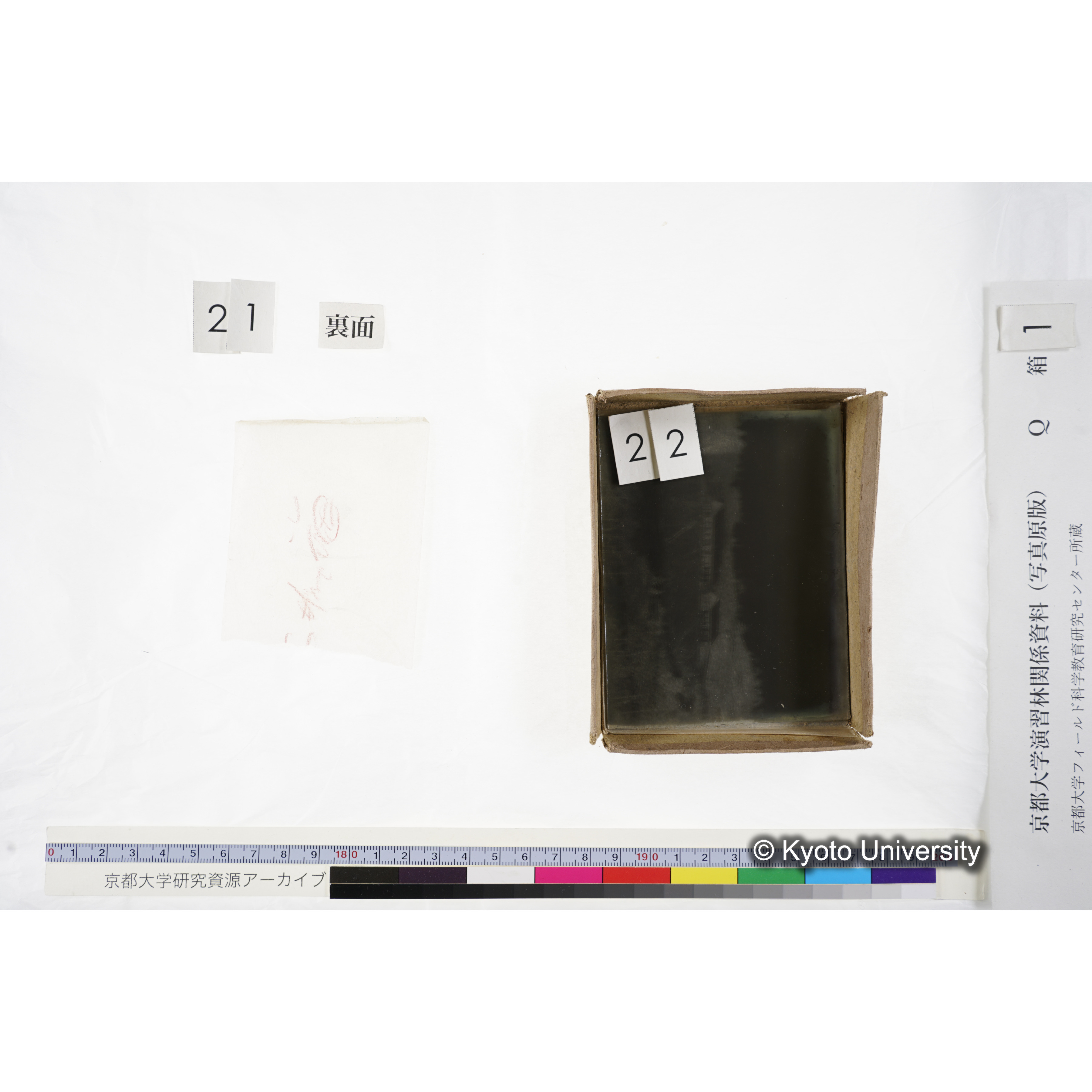 [ガラス乾板Q-箱1] 上賀茂試験地 1. (上加茂試験地建設当時乾板.) (19)