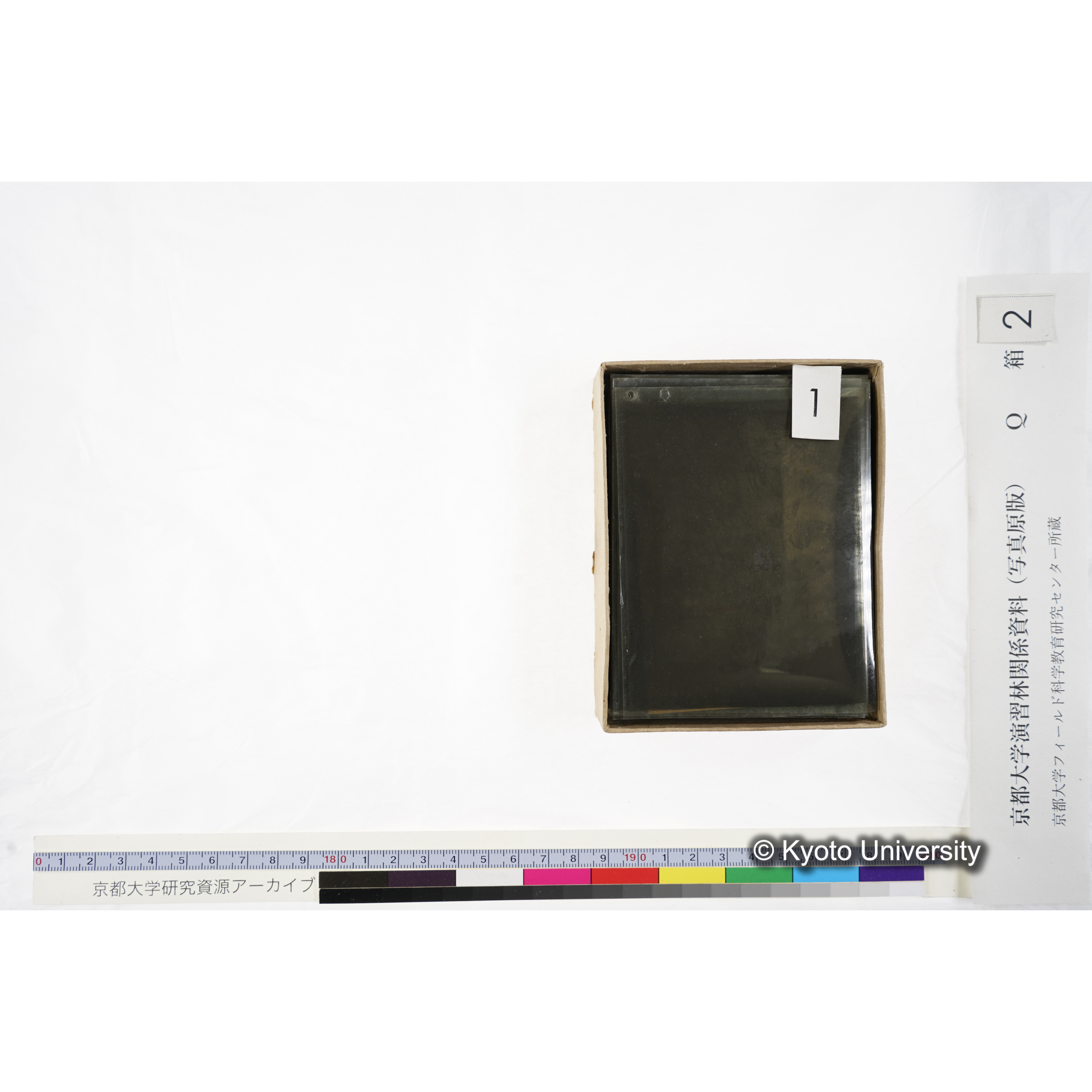 [ガラス乾板Q-箱2] 上賀茂試験地 2. (5)