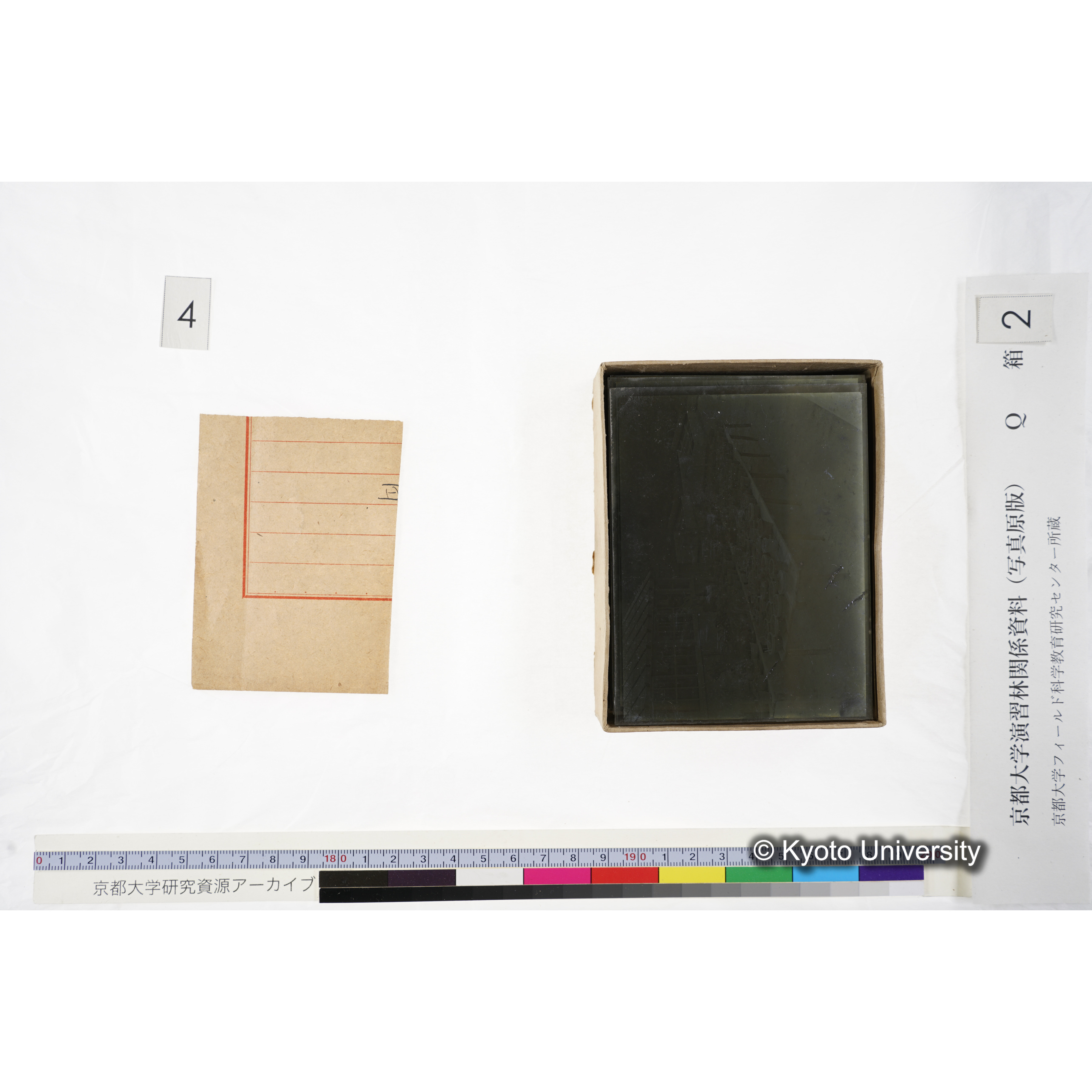 [ガラス乾板Q-箱2] 上賀茂試験地 2. (6)