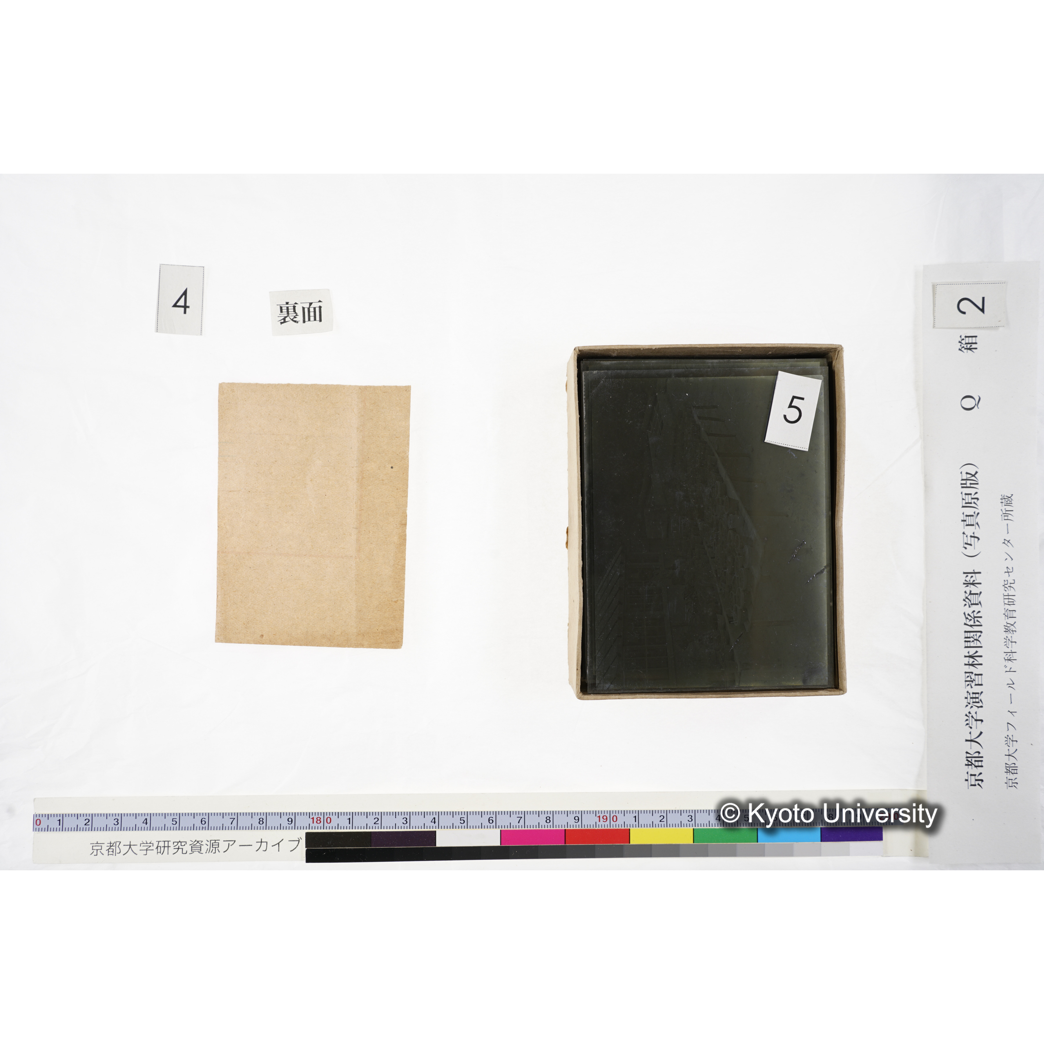 [ガラス乾板Q-箱2] 上賀茂試験地 2. (8)