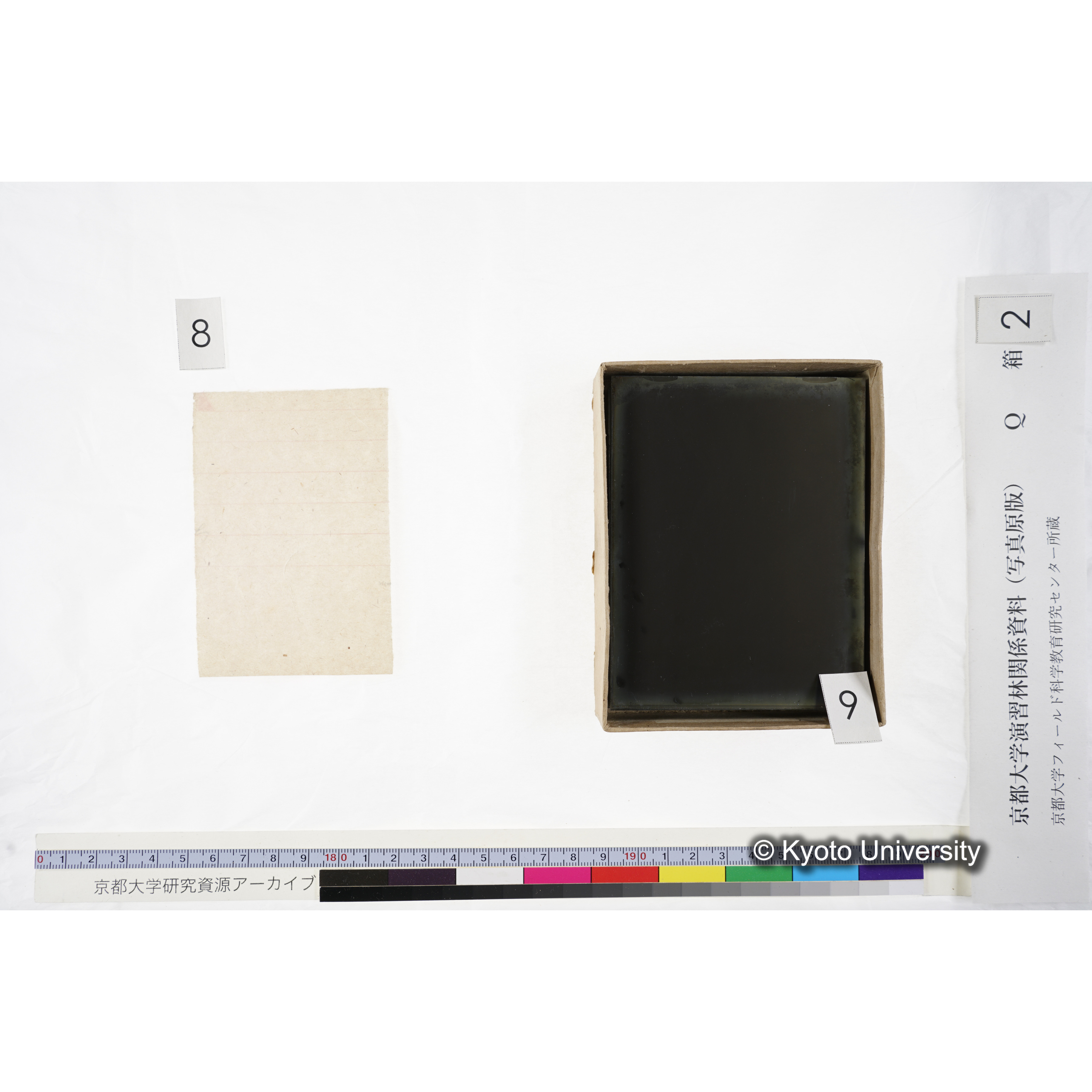 [ガラス乾板Q-箱2] 上賀茂試験地 2. (9)