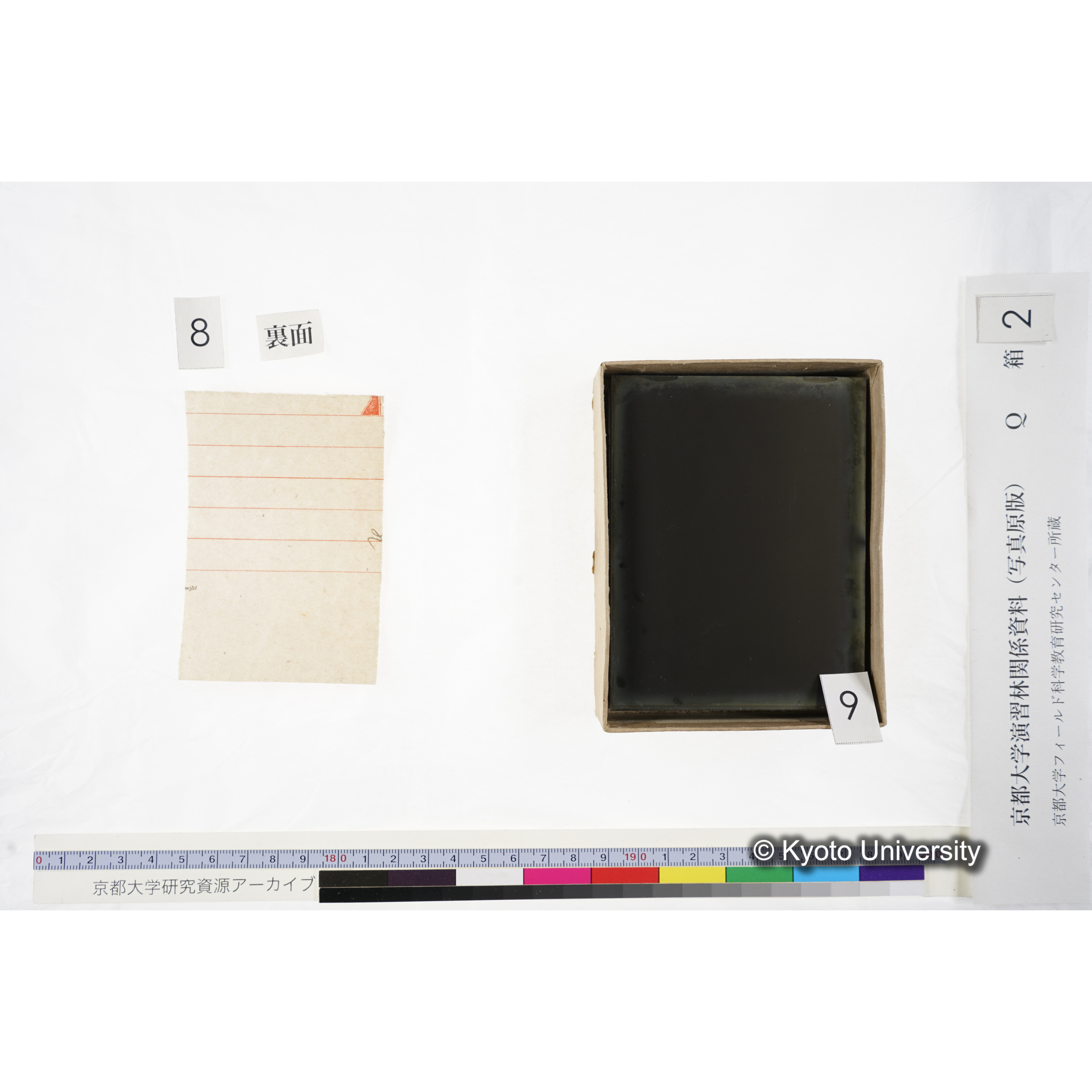 [ガラス乾板Q-箱2] 上賀茂試験地 2. (10)