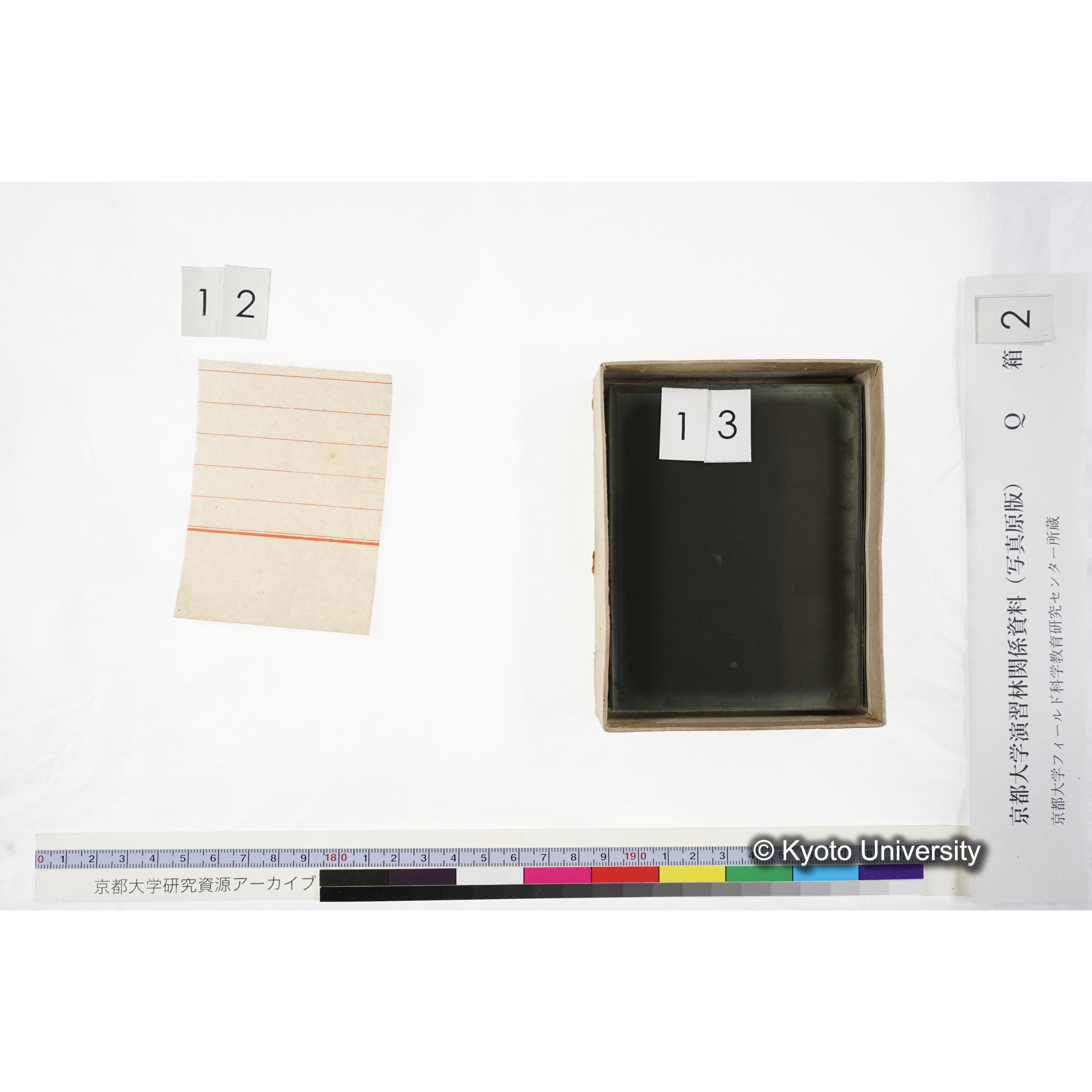 [ガラス乾板Q-箱2] 上賀茂試験地 2. (11)