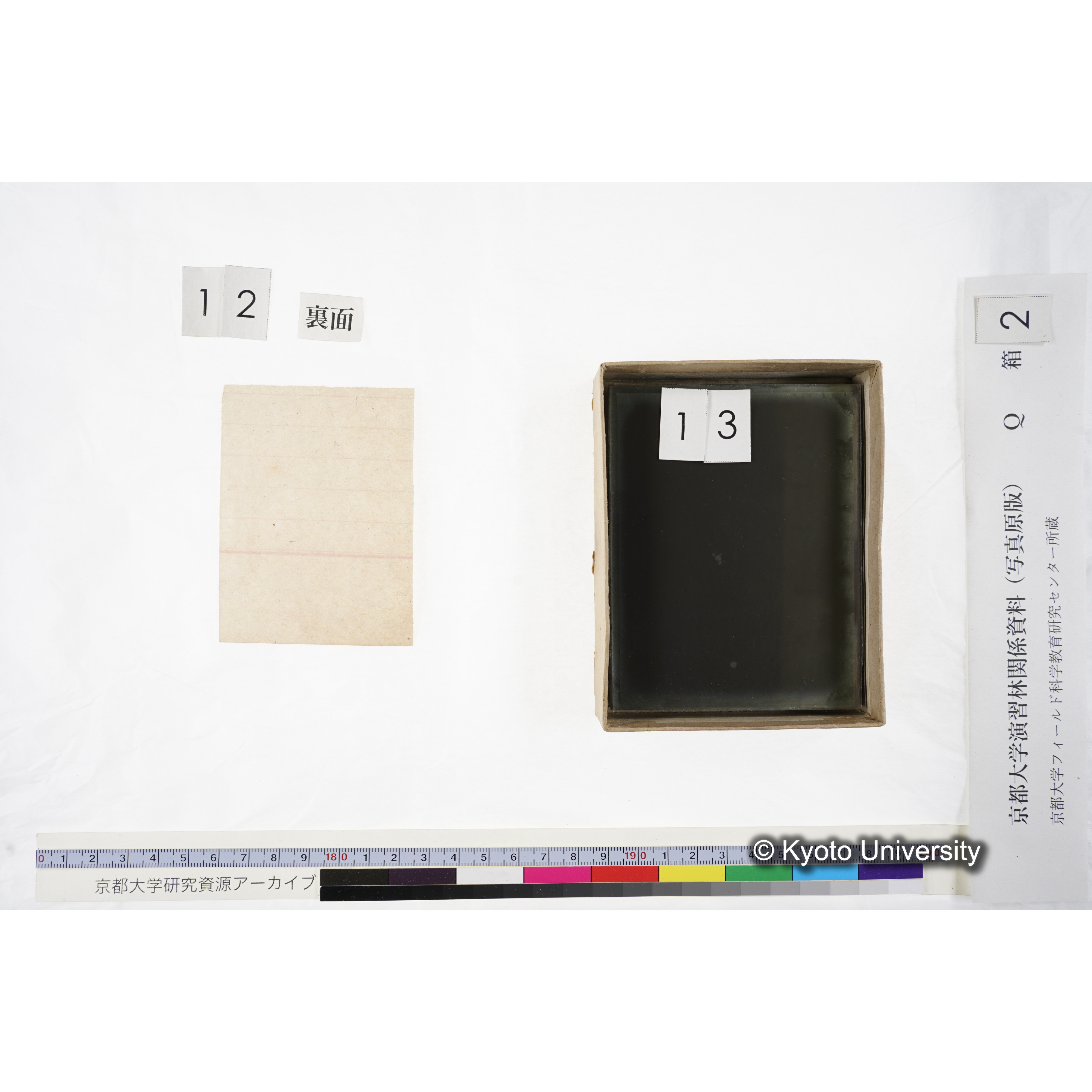 [ガラス乾板Q-箱2] 上賀茂試験地 2. (12)