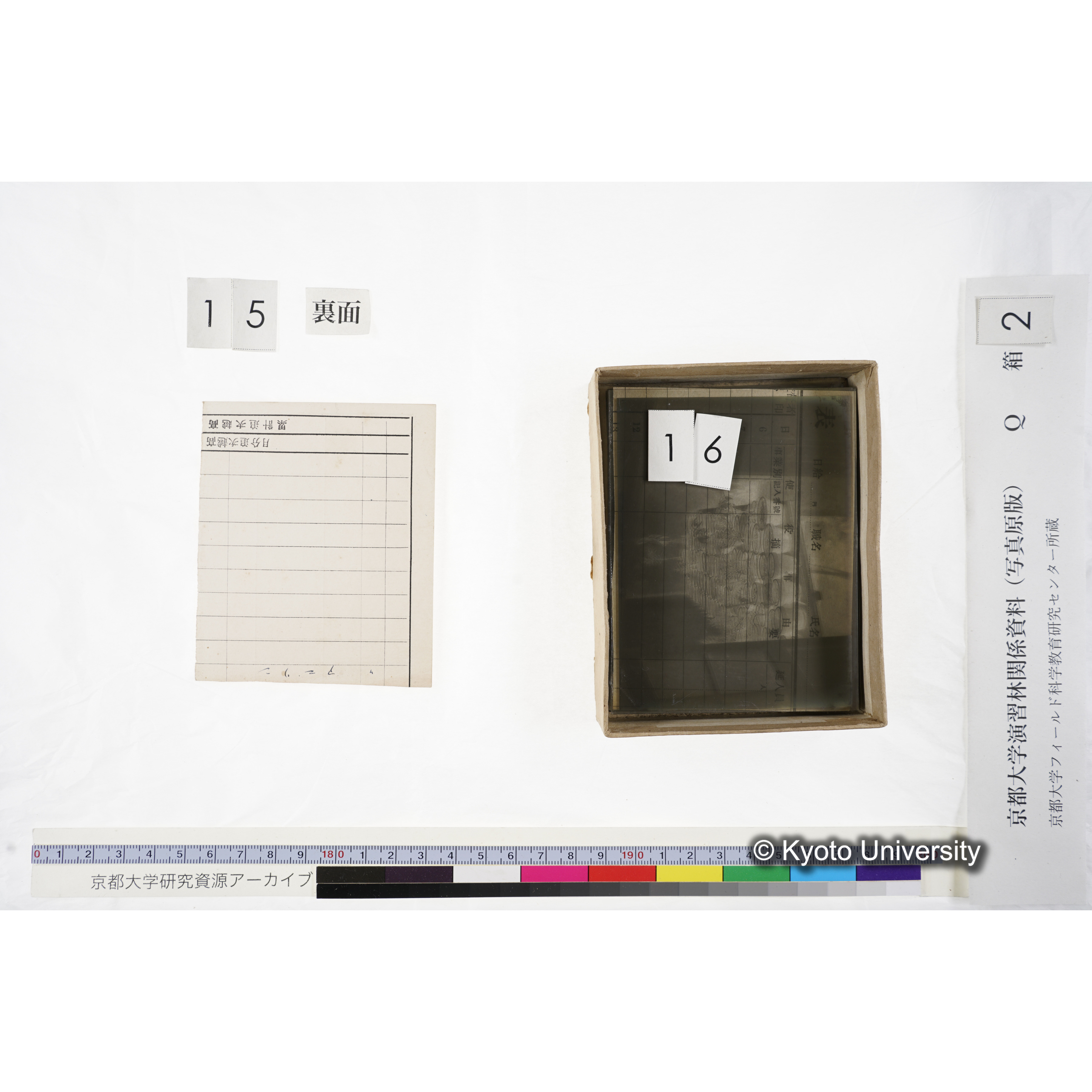 [ガラス乾板Q-箱2] 上賀茂試験地 2. (14)