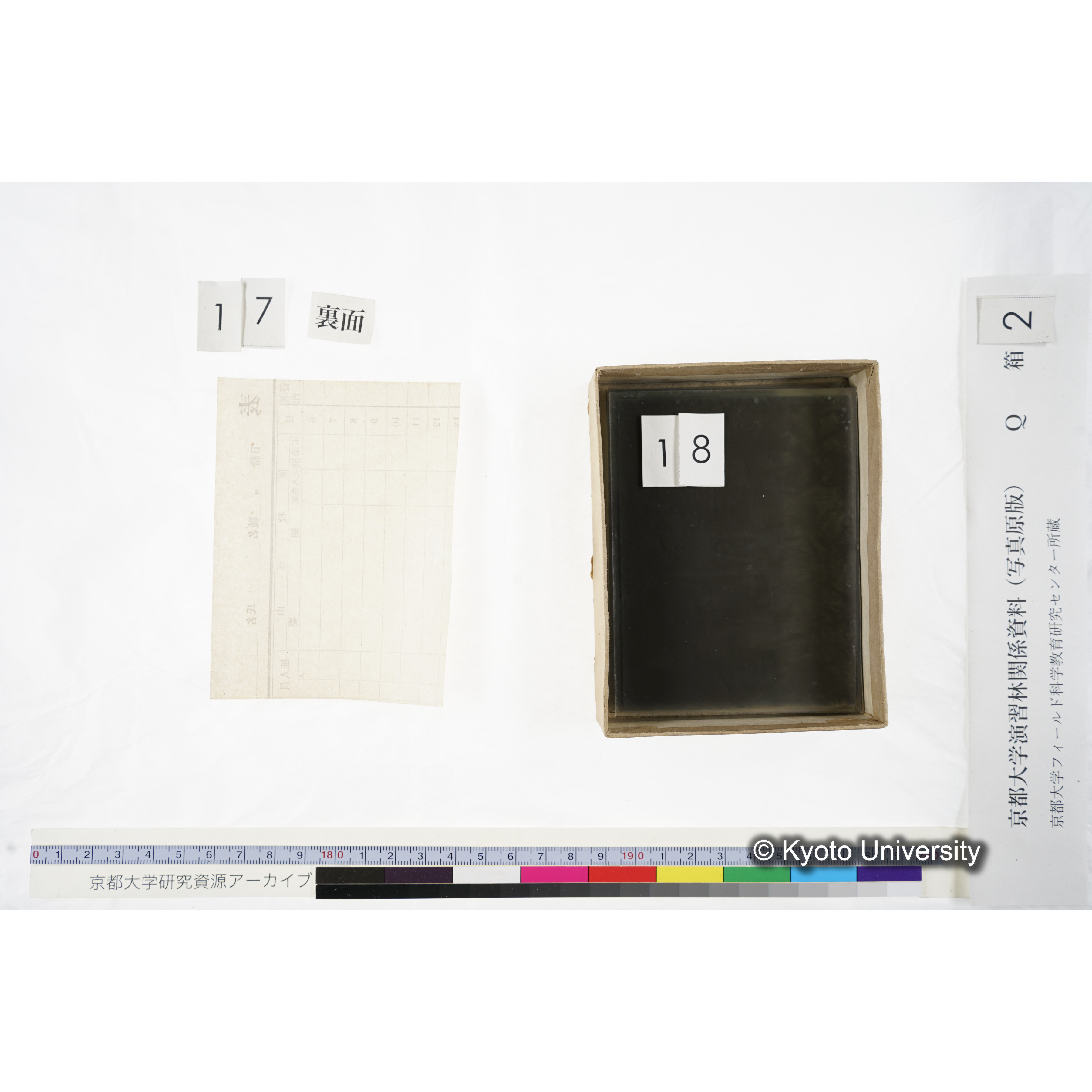 [ガラス乾板Q-箱2] 上賀茂試験地 2. (16)