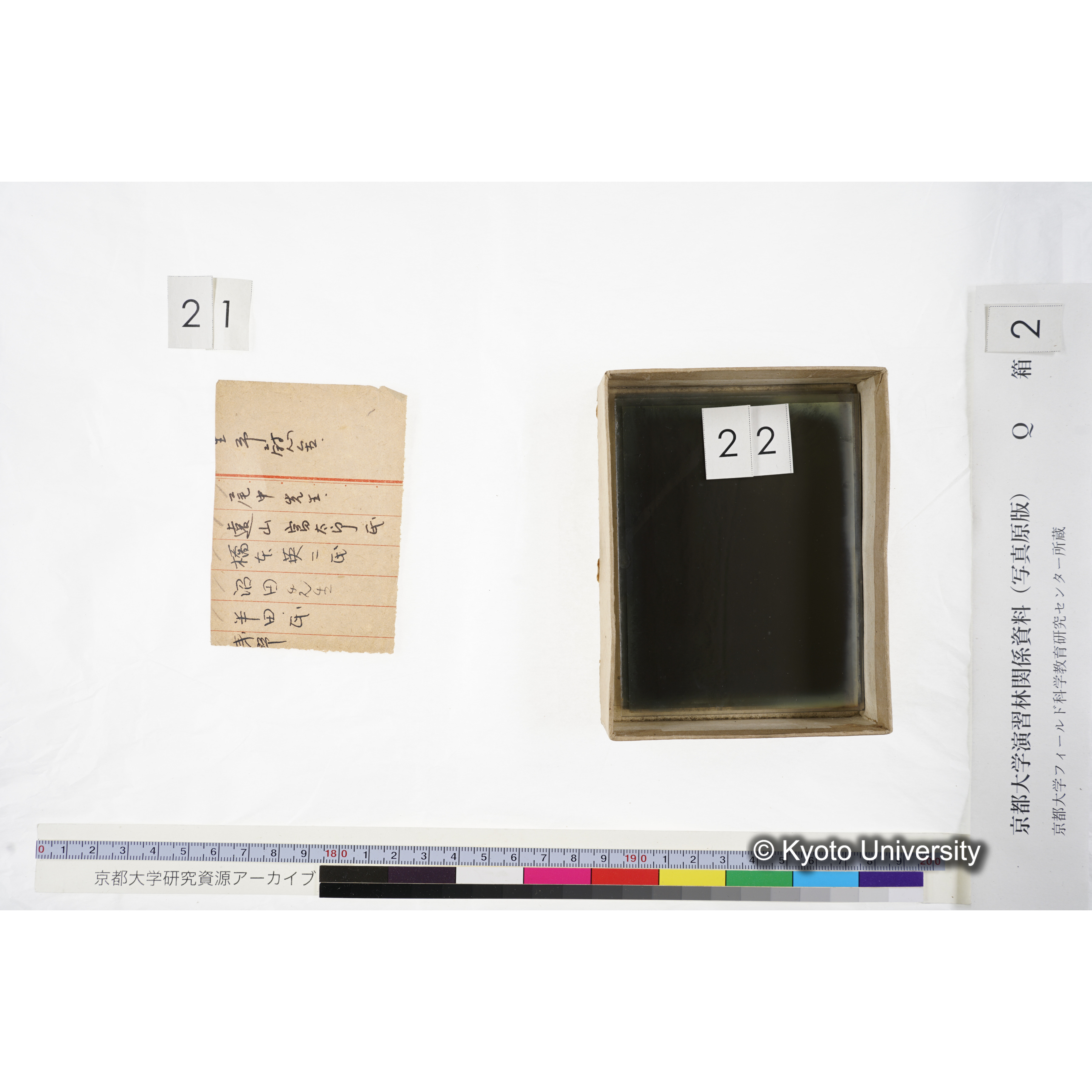 [ガラス乾板Q-箱2] 上賀茂試験地 2. (17)