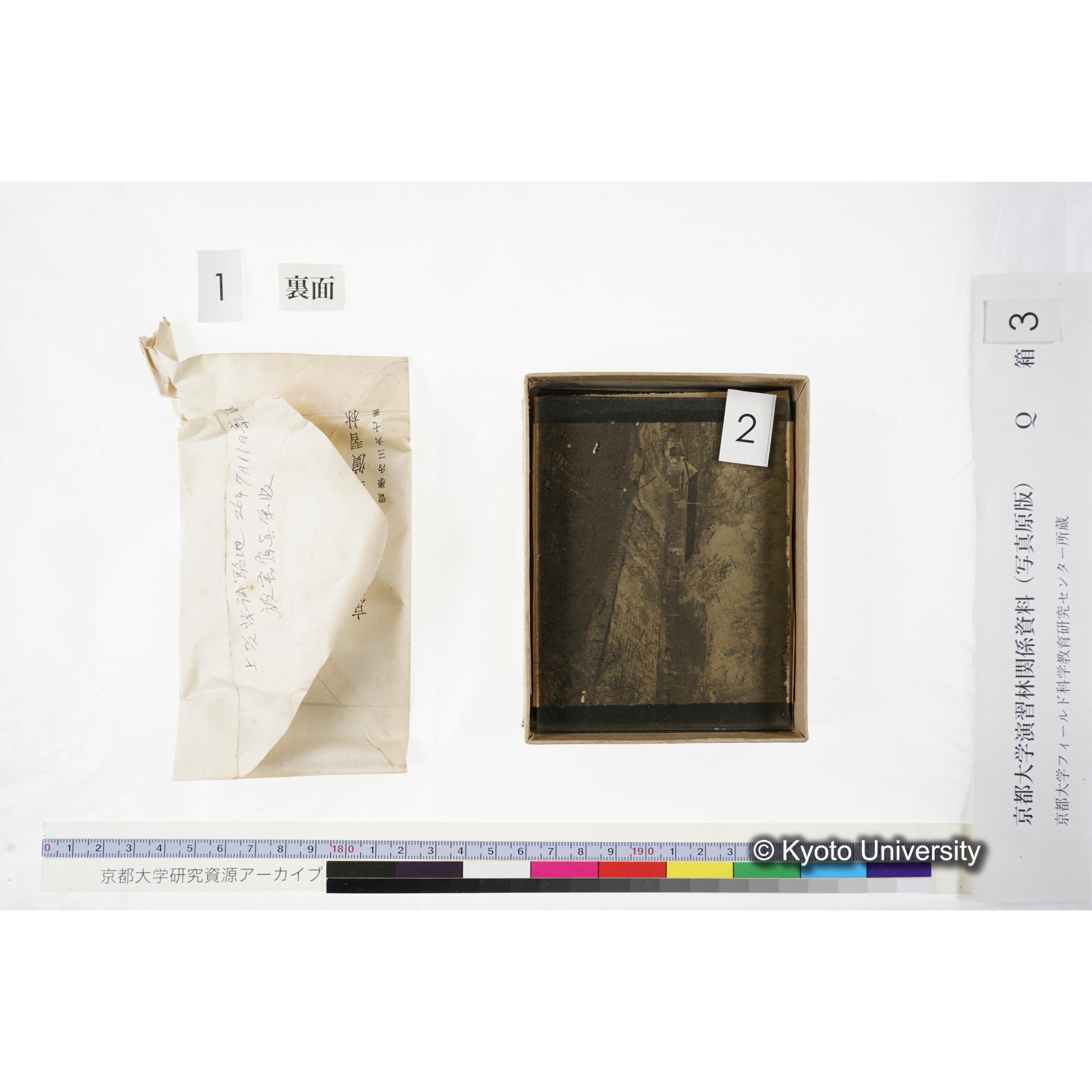 [ガラス乾板Q-箱3] 上賀茂試験地 3. (10)