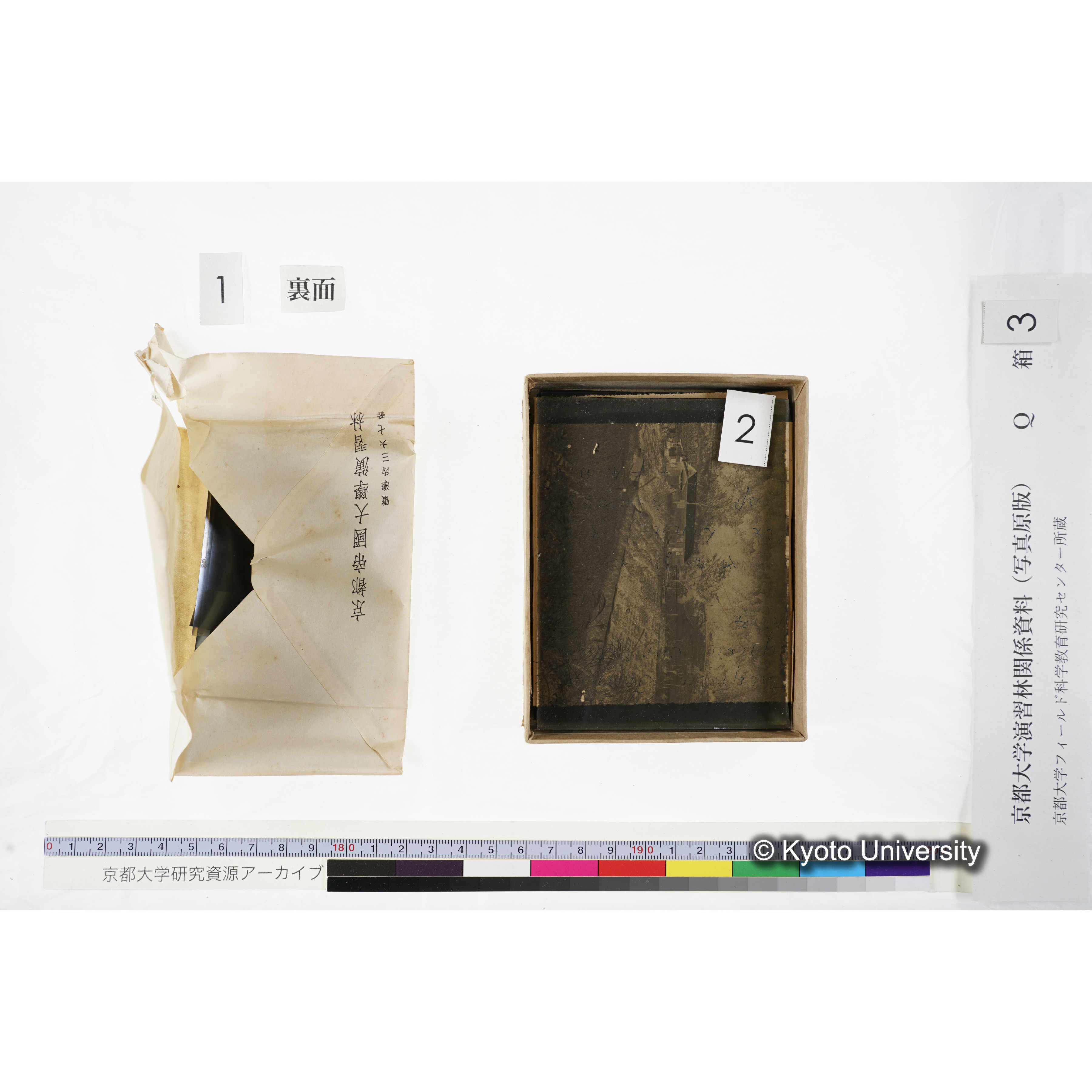 [ガラス乾板Q-箱3] 上賀茂試験地 3. (11)