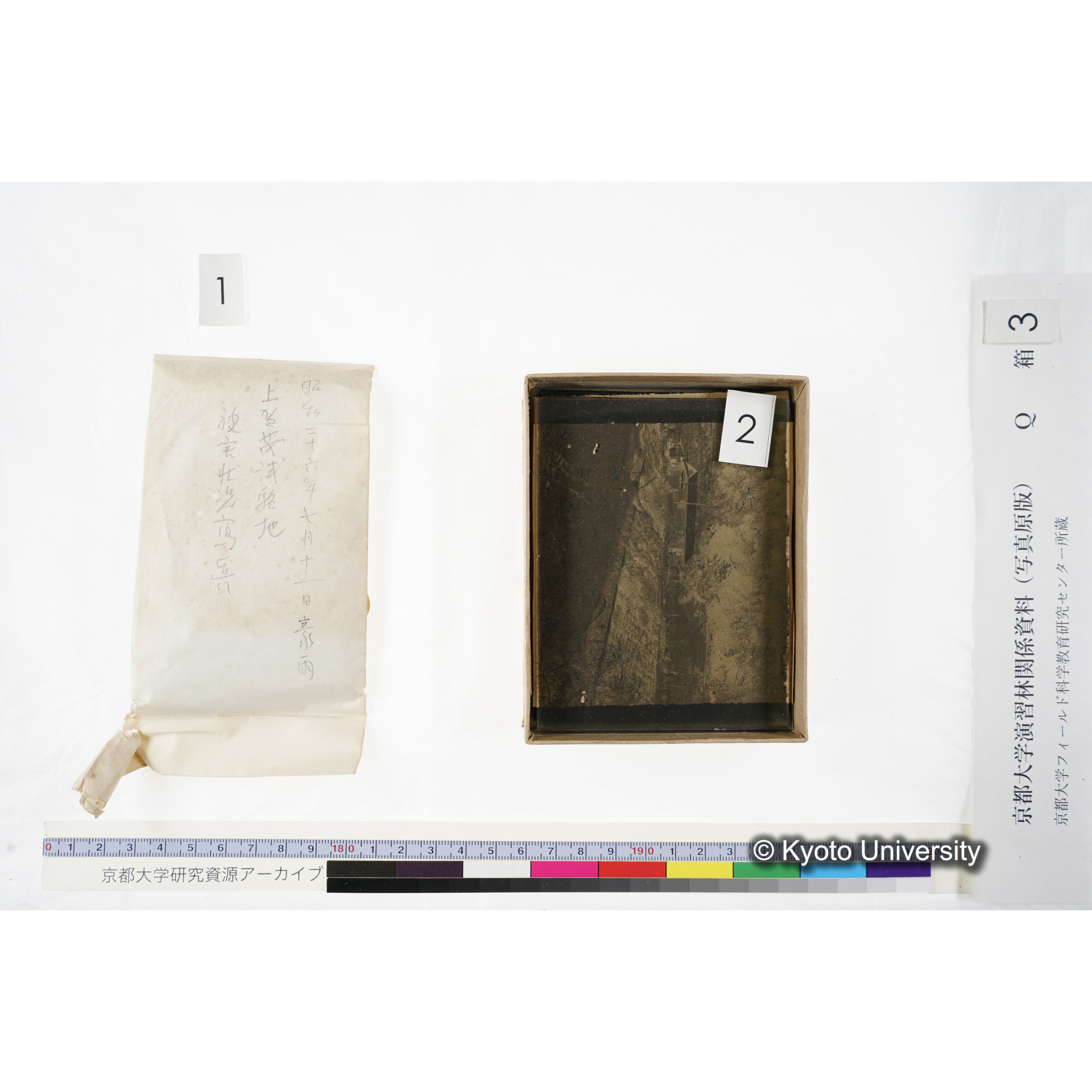 [ガラス乾板Q-箱3] 上賀茂試験地 3. (12)