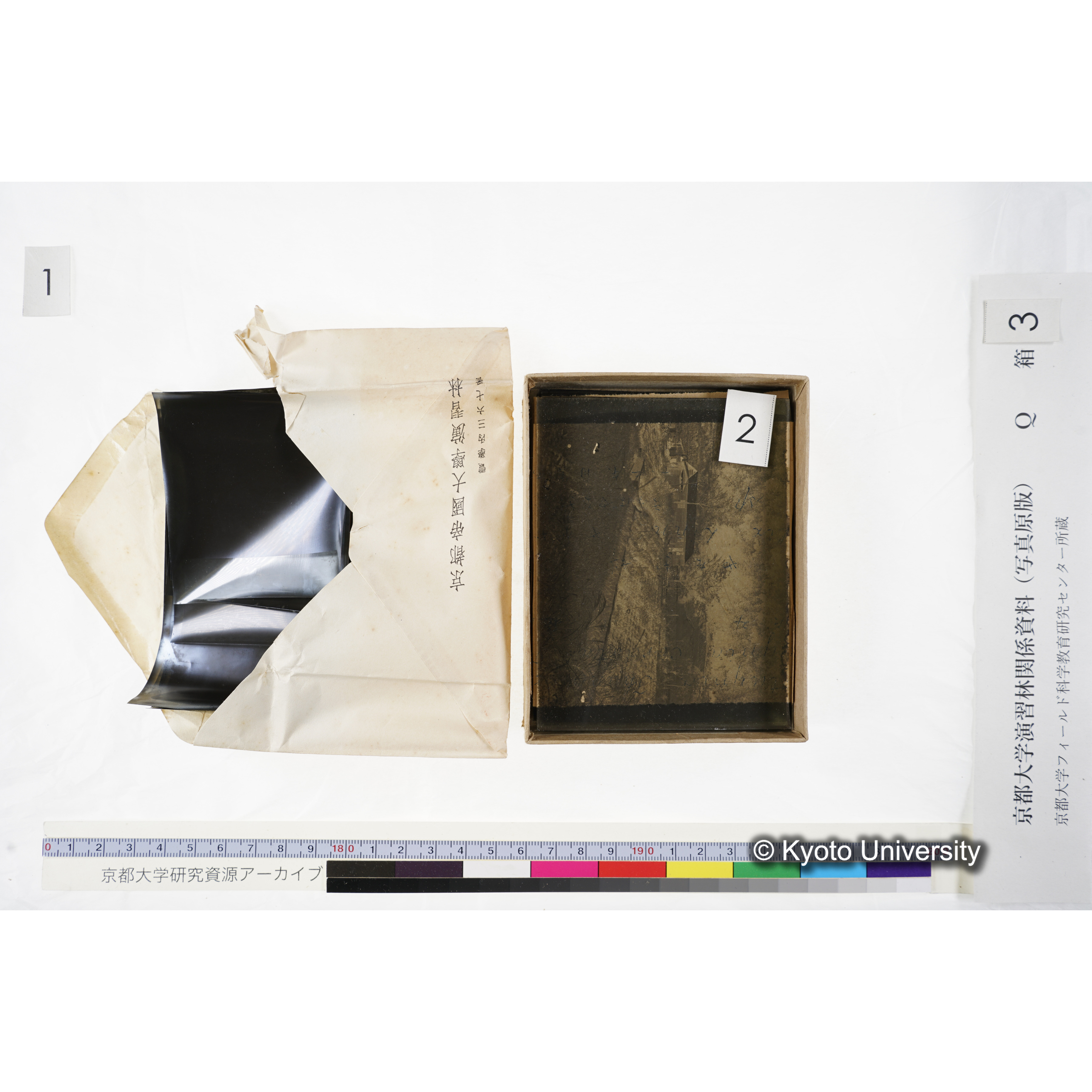 [ガラス乾板Q-箱3] 上賀茂試験地 3. (13)