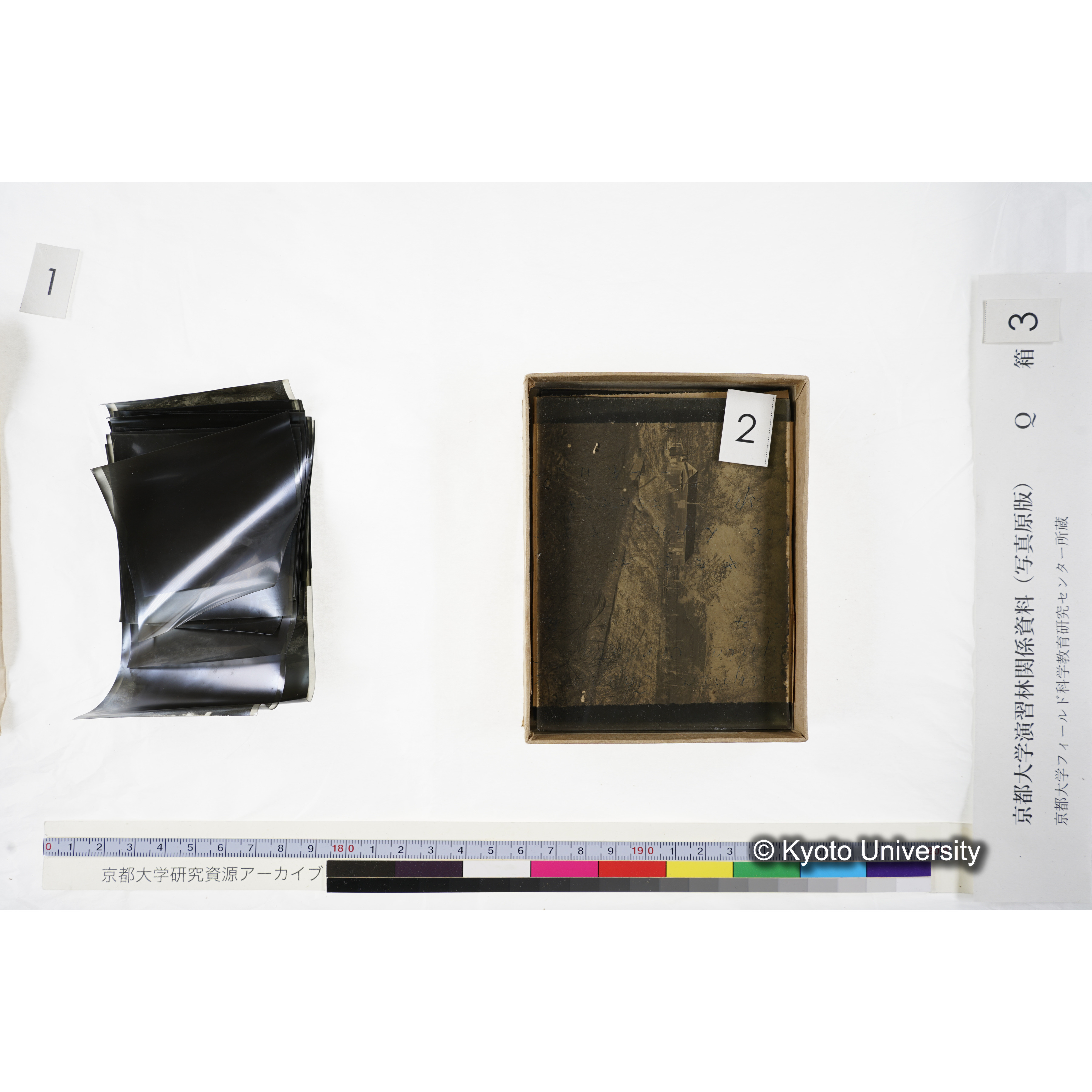 [ガラス乾板Q-箱3] 上賀茂試験地 3. (14)