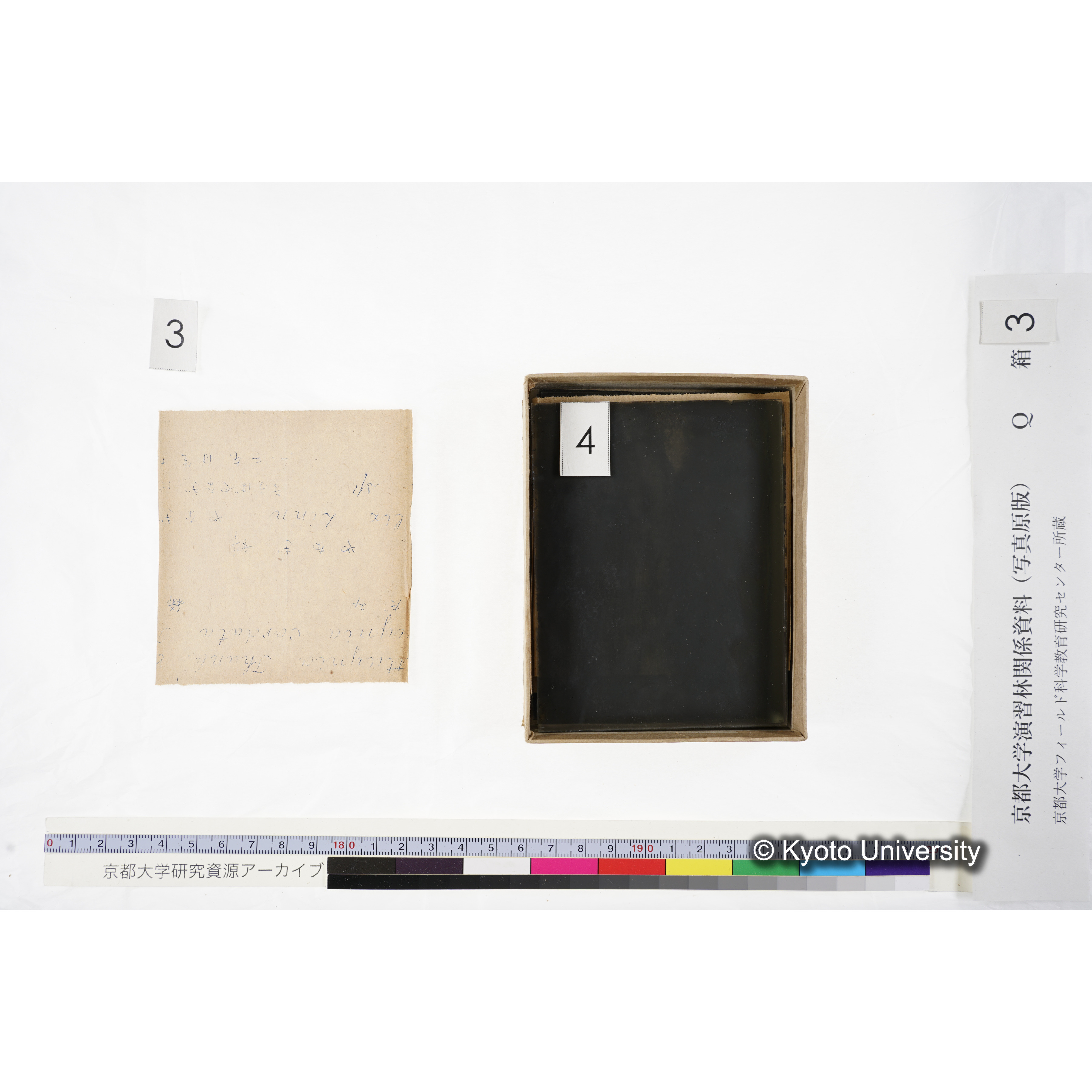 [ガラス乾板Q-箱3] 上賀茂試験地 3. (15)