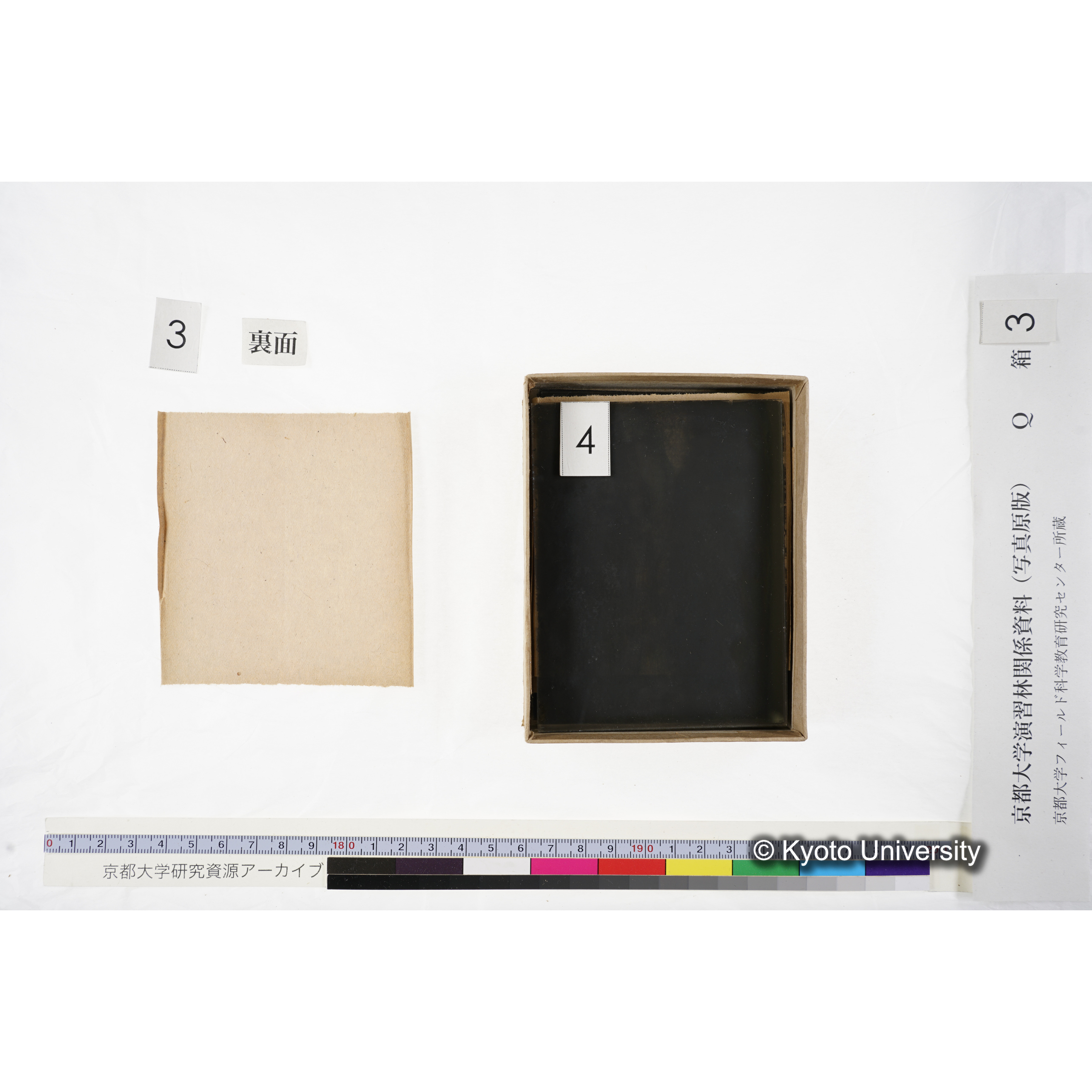 [ガラス乾板Q-箱3] 上賀茂試験地 3. (16)