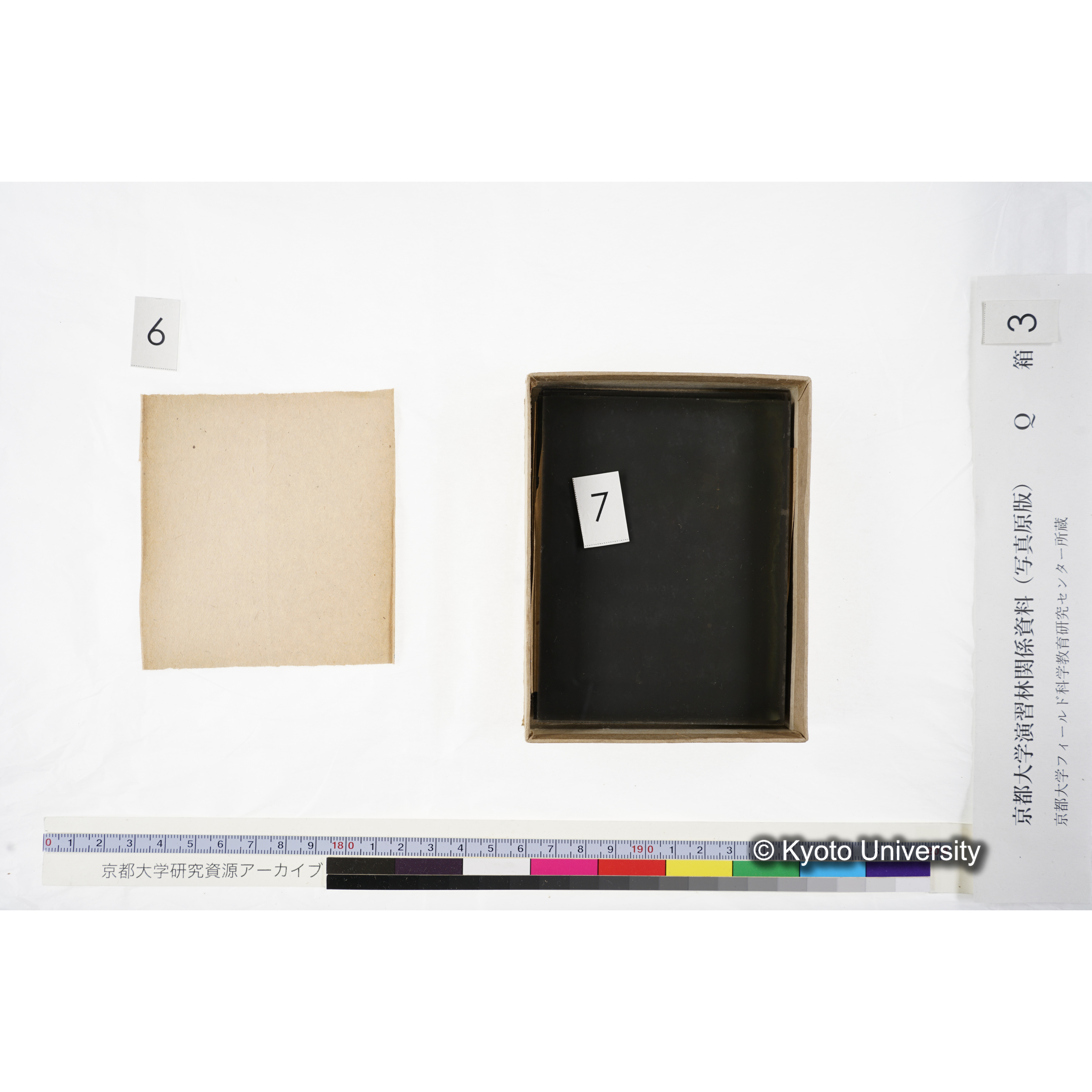 [ガラス乾板Q-箱3] 上賀茂試験地 3. (17)