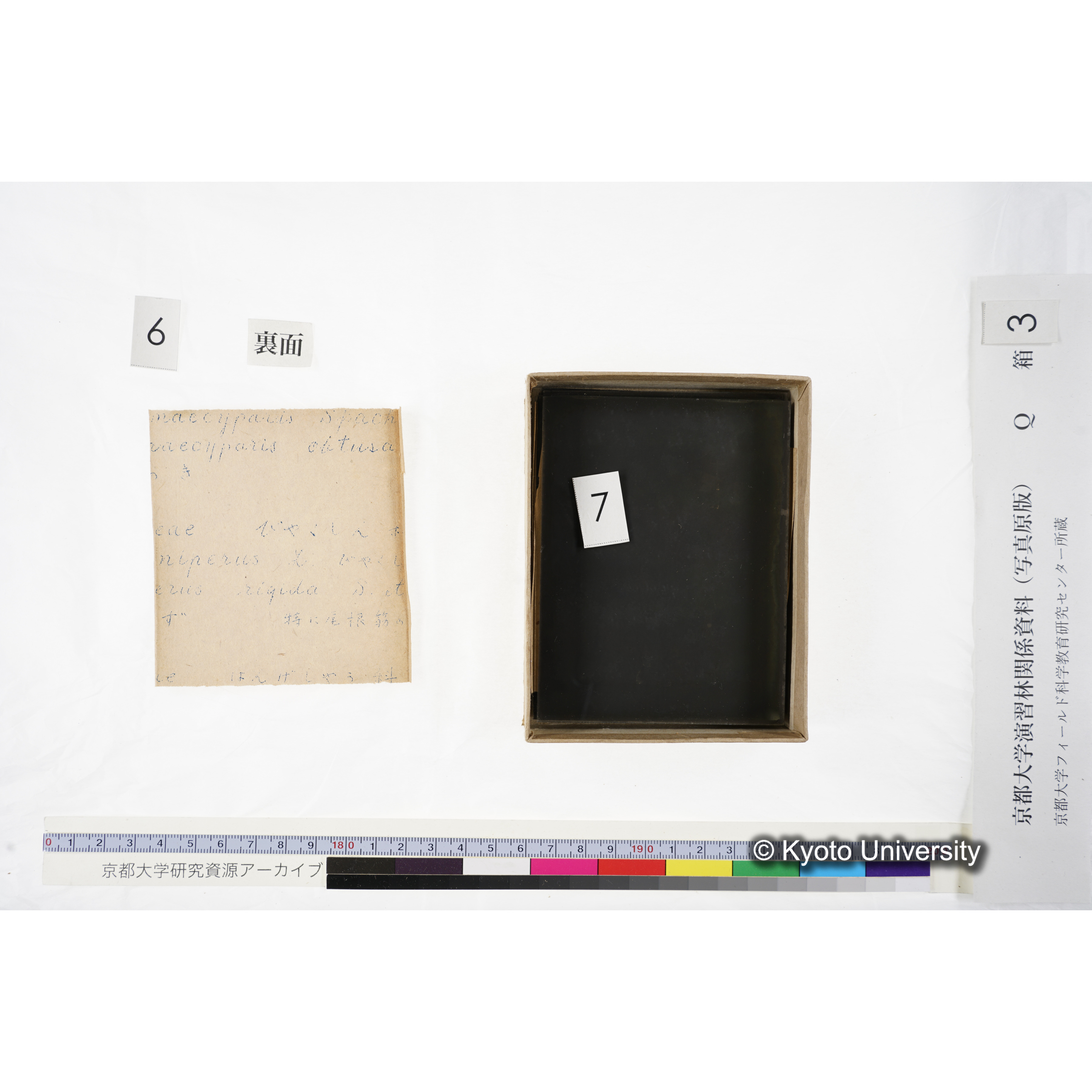 [ガラス乾板Q-箱3] 上賀茂試験地 3. (18)