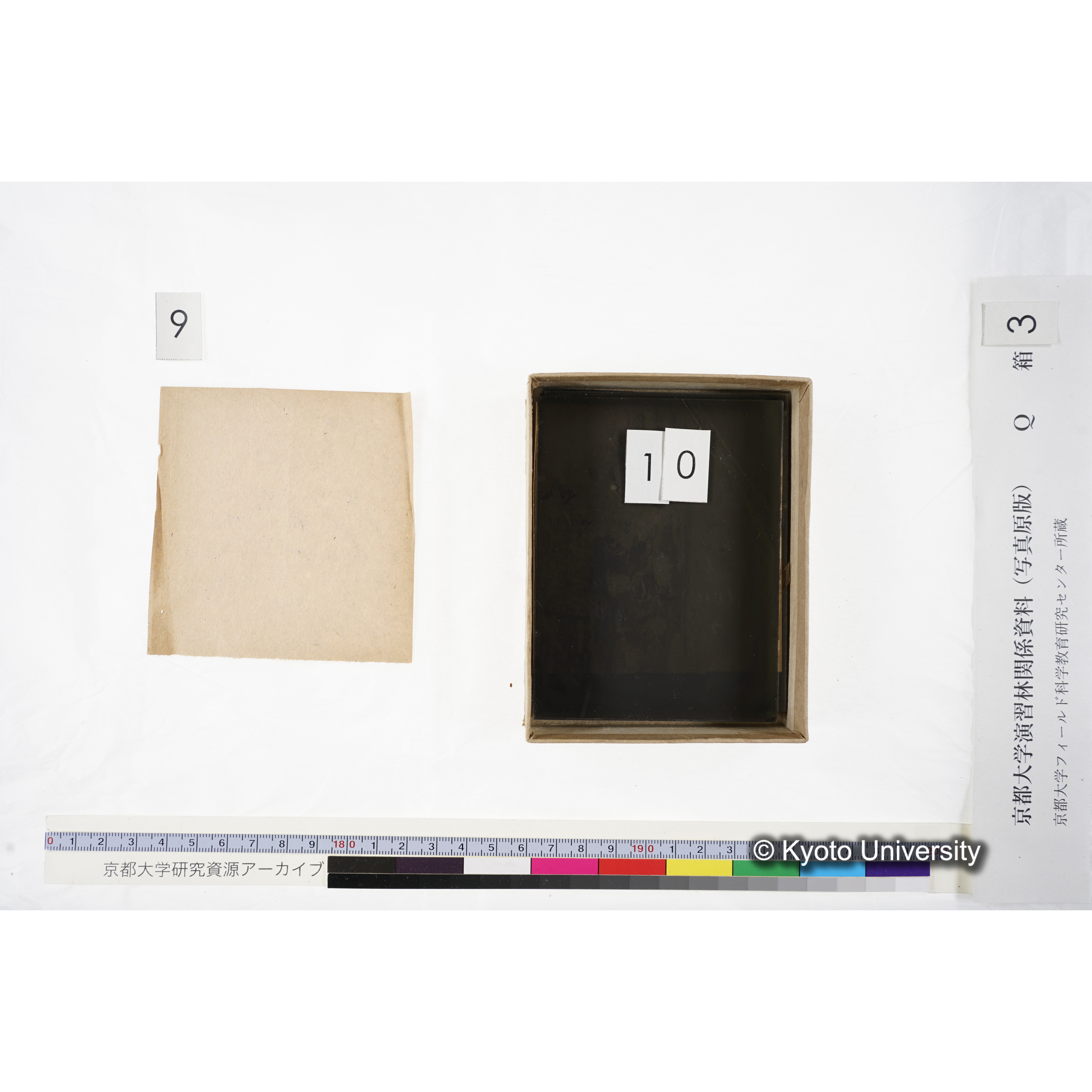 [ガラス乾板Q-箱3] 上賀茂試験地 3. (19)