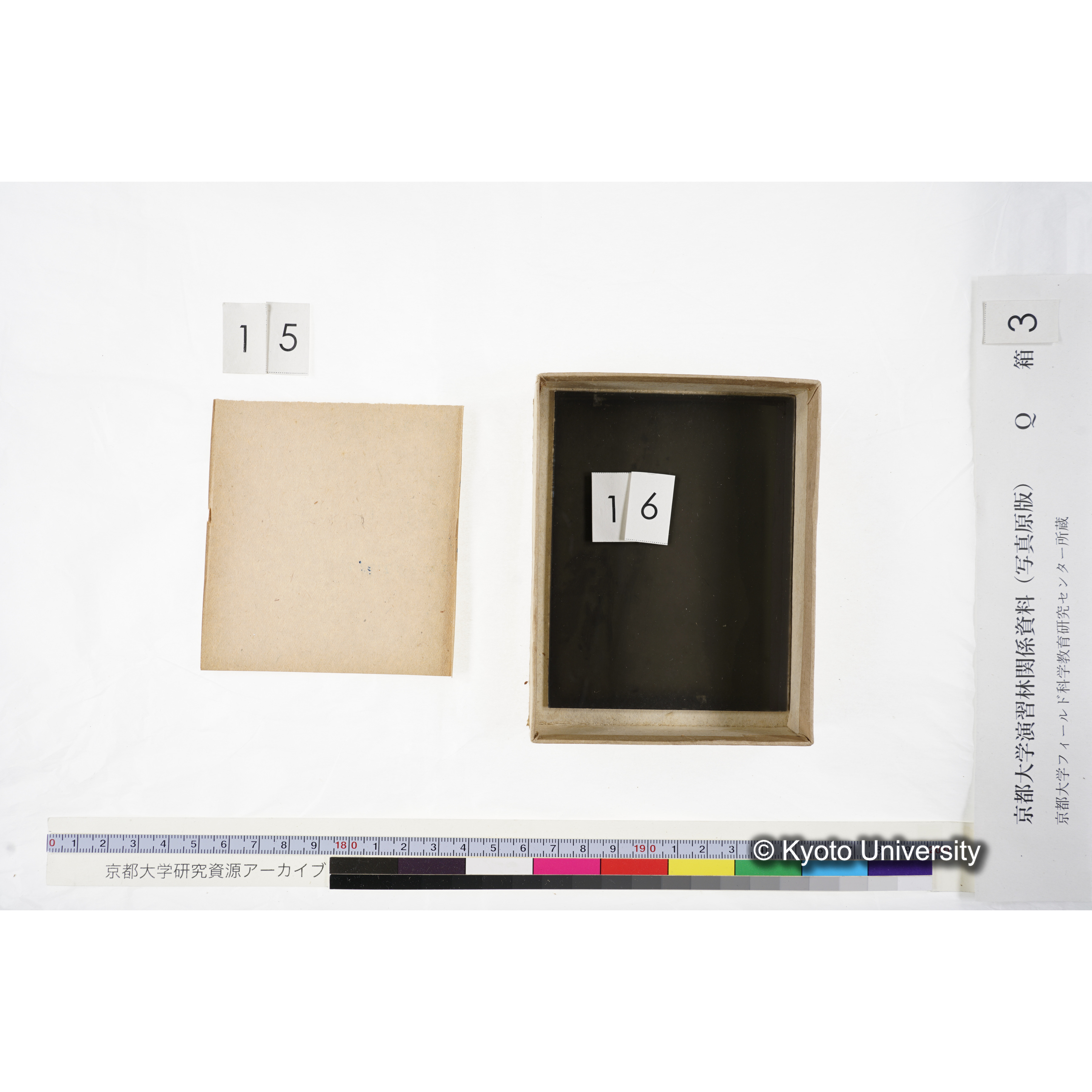 [ガラス乾板Q-箱3] 上賀茂試験地 3. (23)