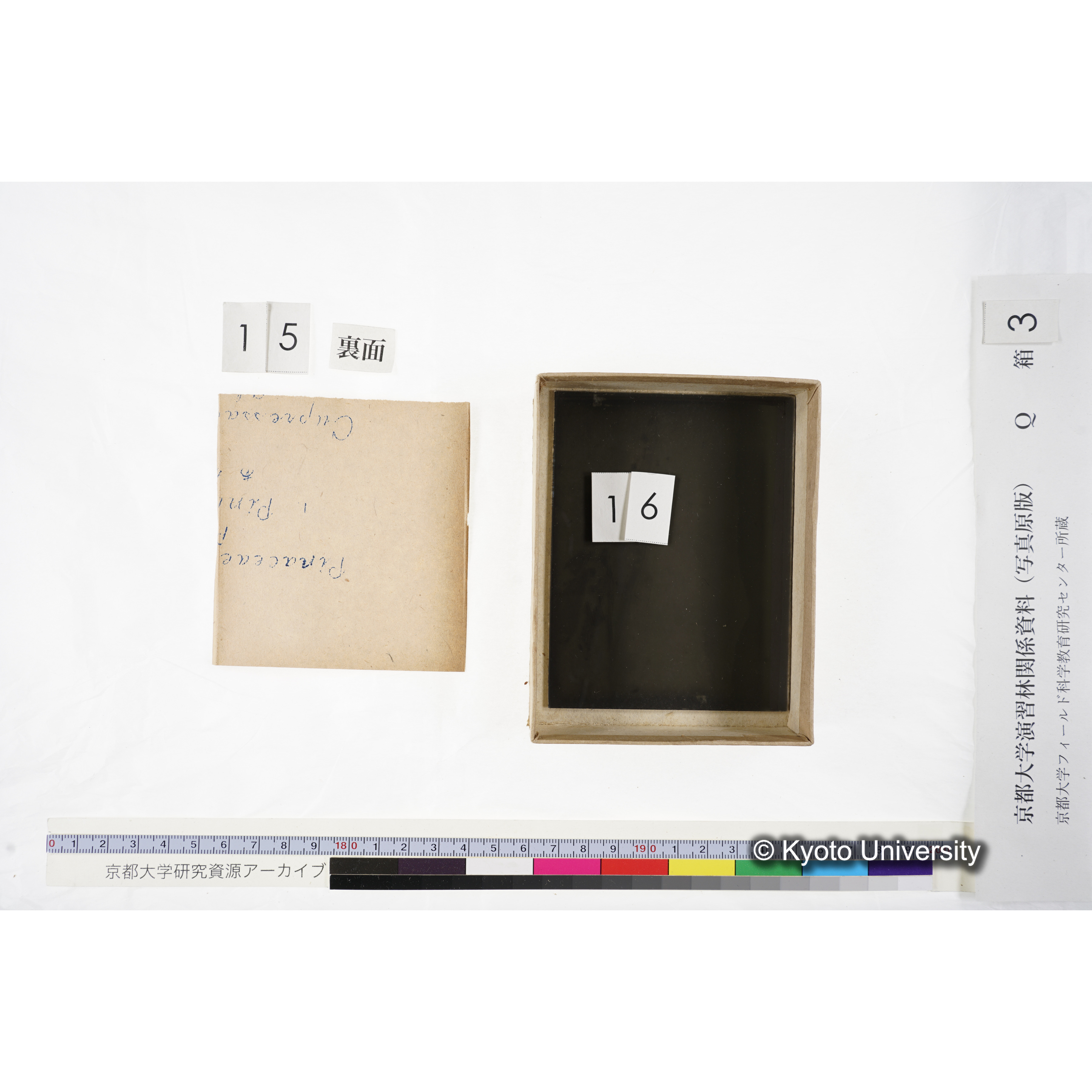 [ガラス乾板Q-箱3] 上賀茂試験地 3. (24)