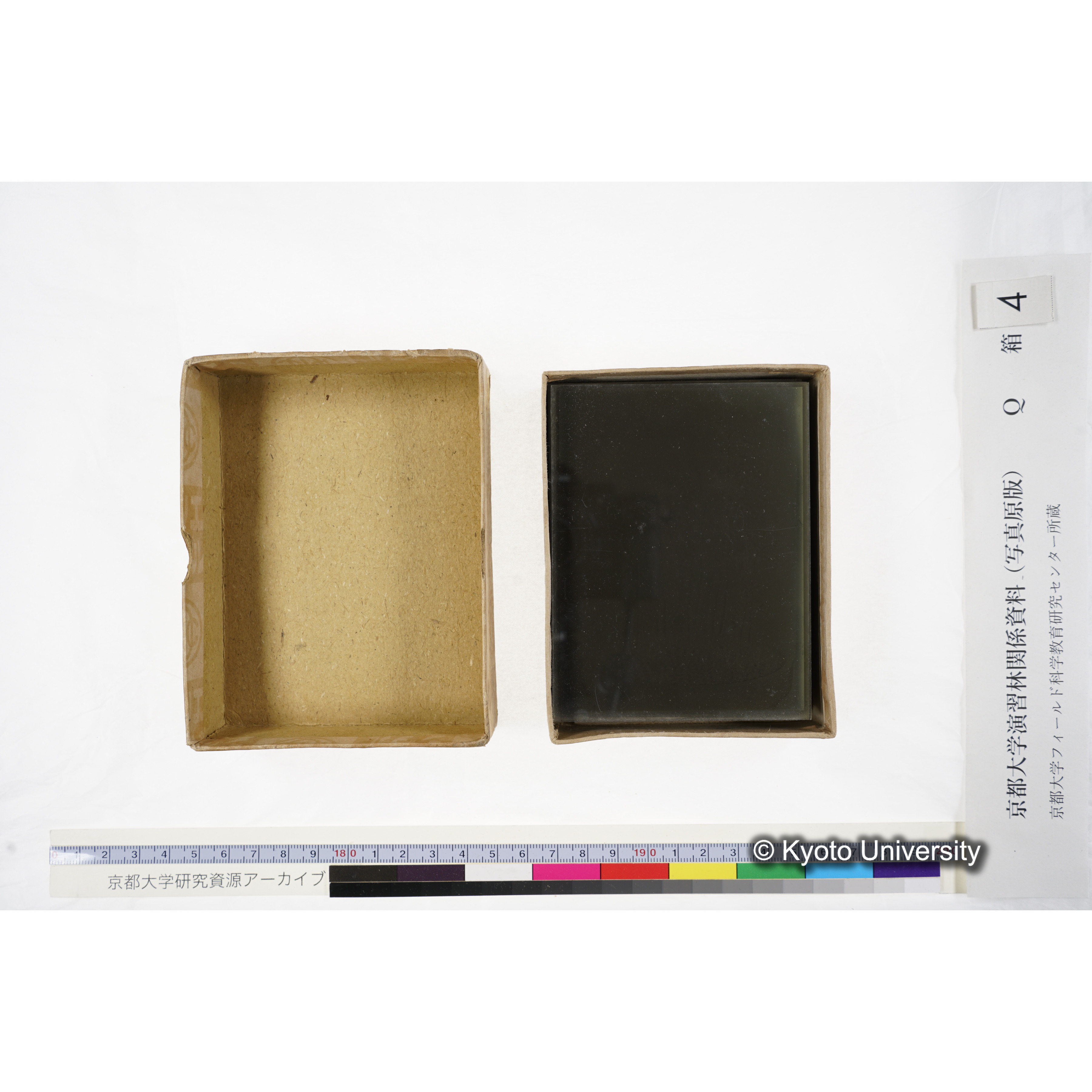 [ガラス乾板Q-箱4] 外国種子. (4)