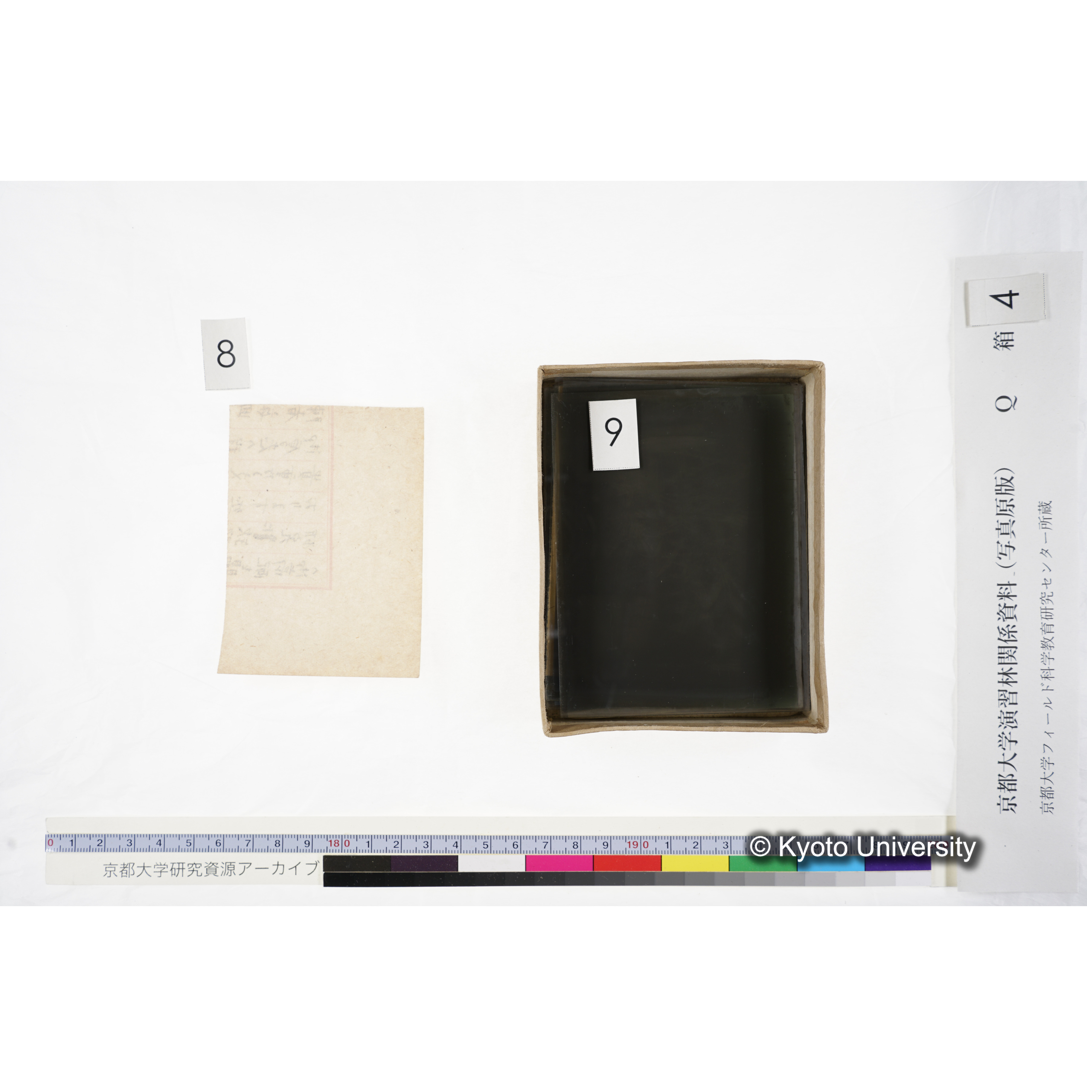 [ガラス乾板Q-箱4] 外国種子. (9)