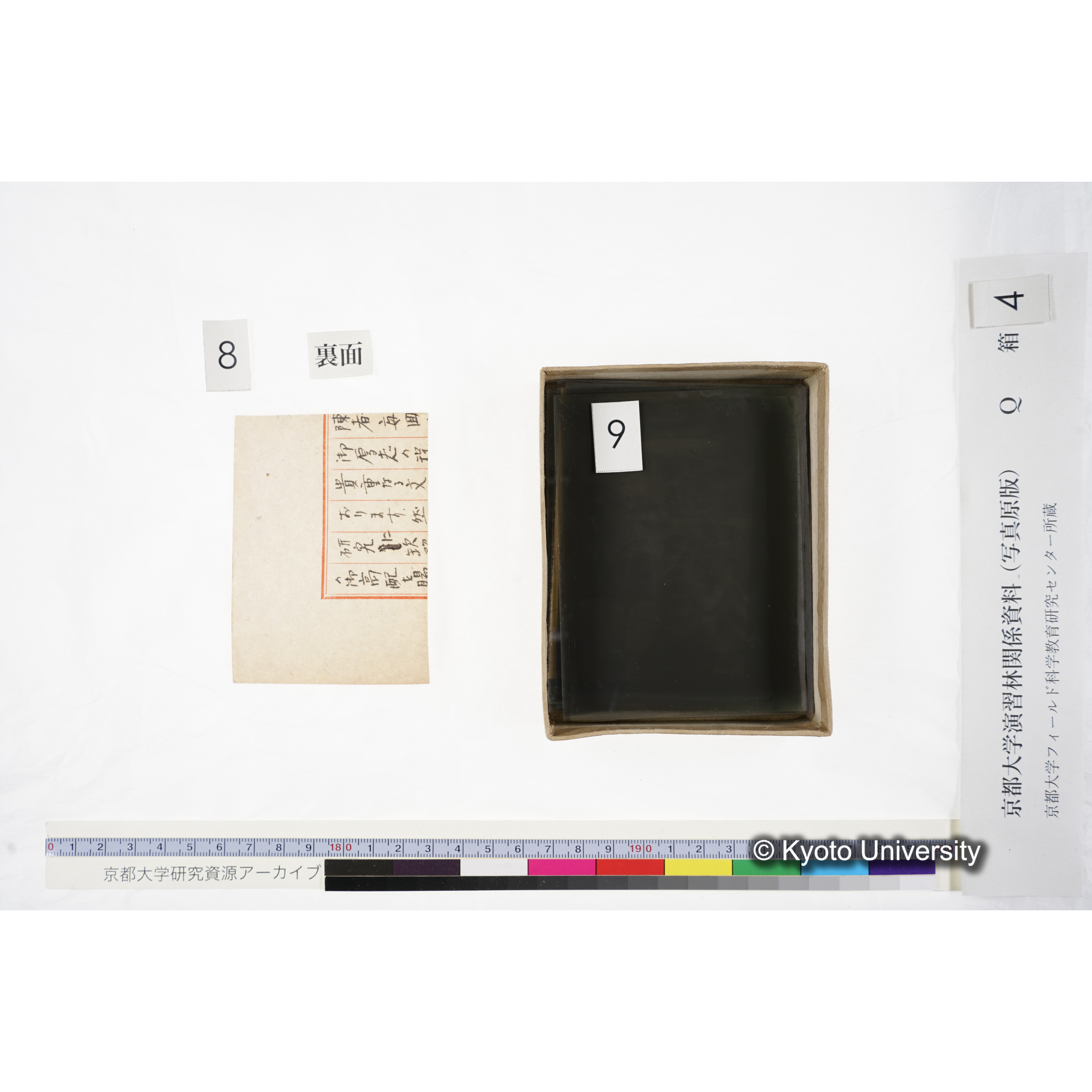 [ガラス乾板Q-箱4] 外国種子. (10)