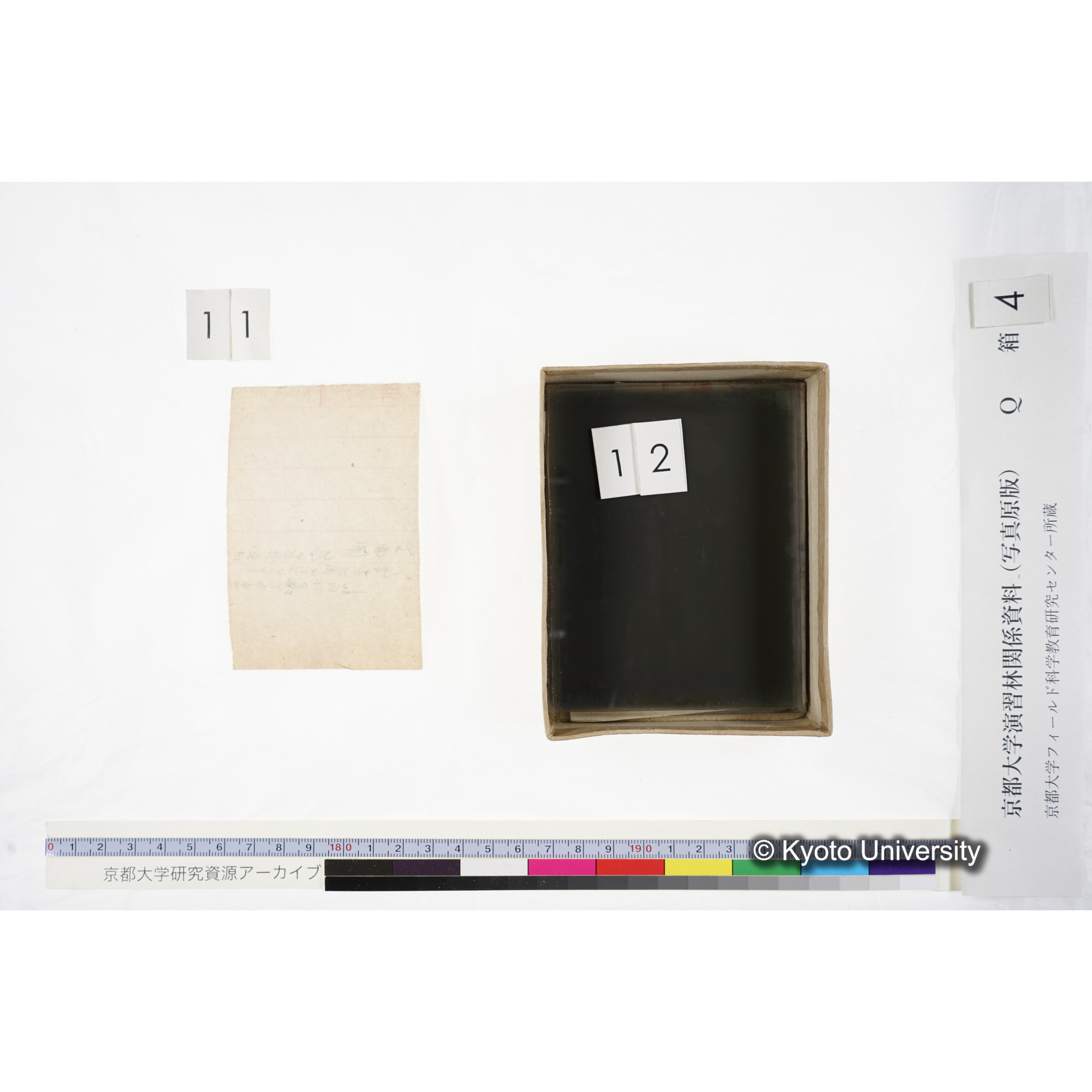 [ガラス乾板Q-箱4] 外国種子. (11)