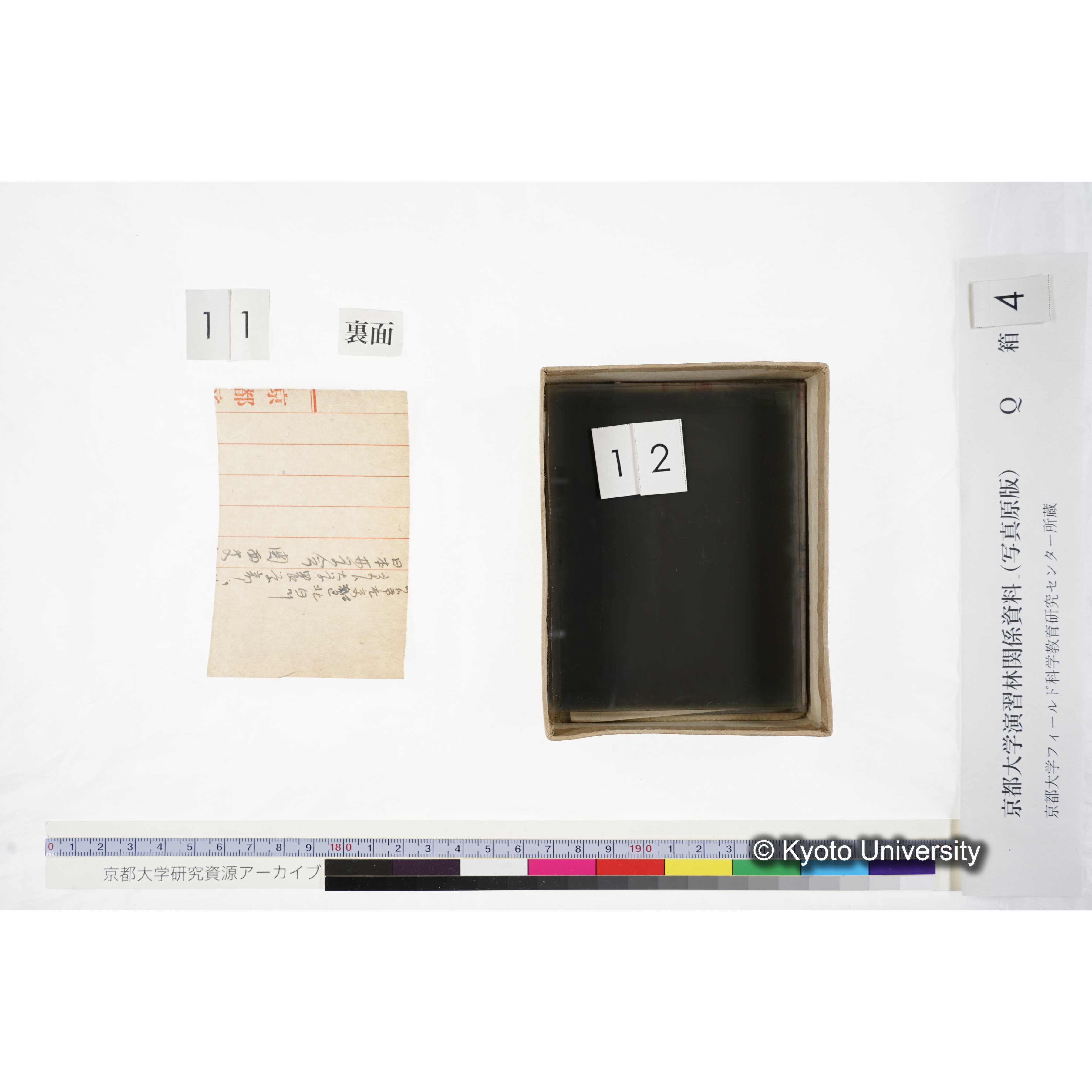 [ガラス乾板Q-箱4] 外国種子. (12)