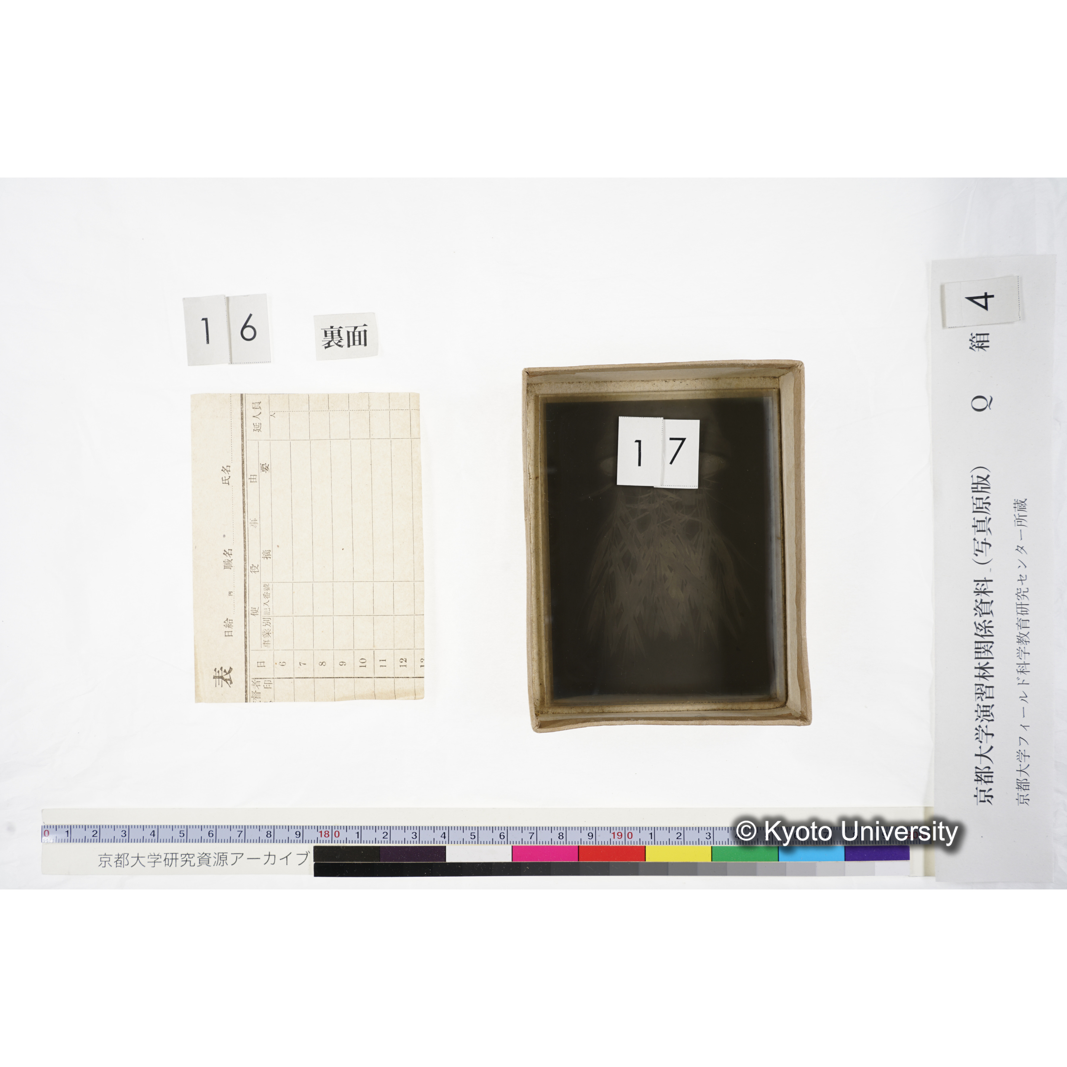 [ガラス乾板Q-箱4] 外国種子. (16)