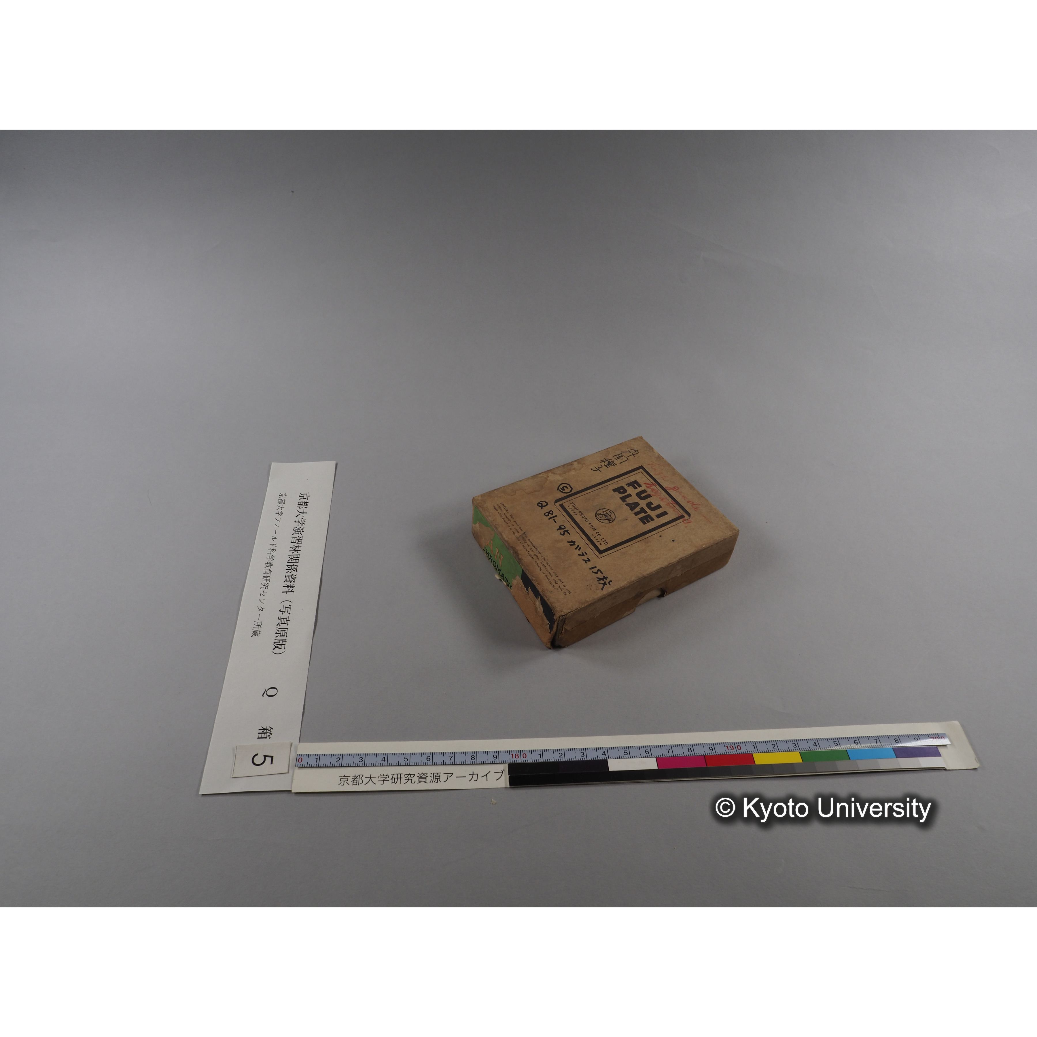 [ガラス乾板Q-箱5] 外国種子. (2)